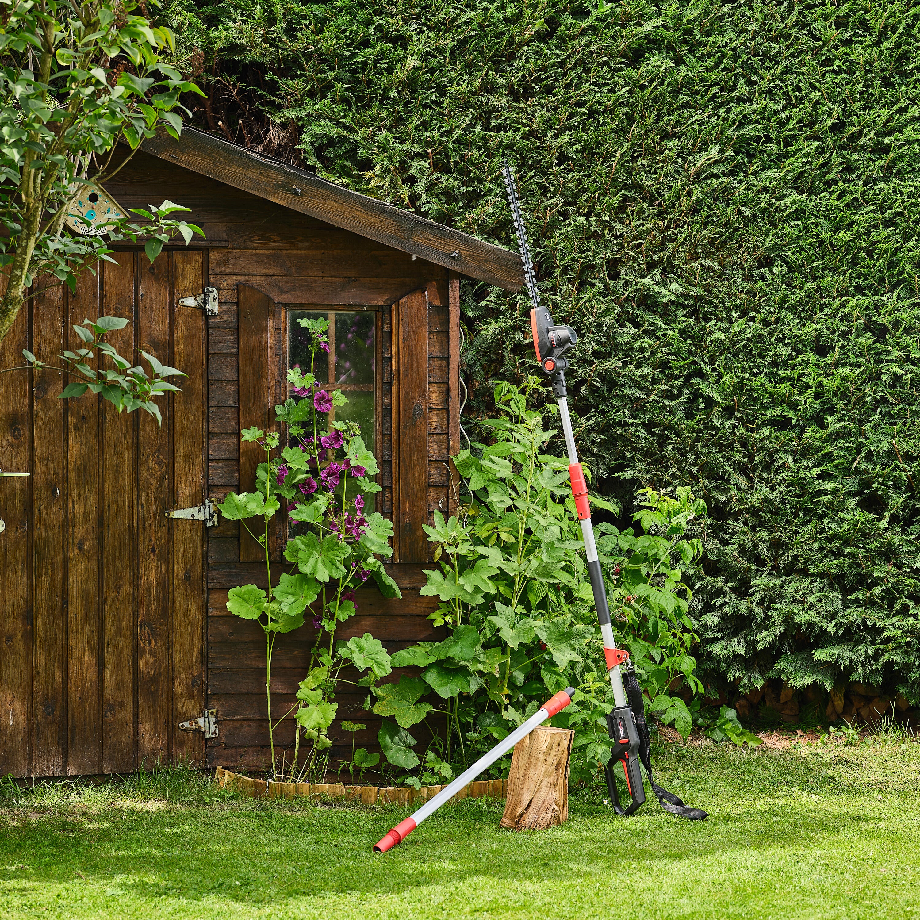 Tagliasiepi ad asta a batteria brushless in abs STERWINS Powerxchange 18 V batteria non inclusa - 7