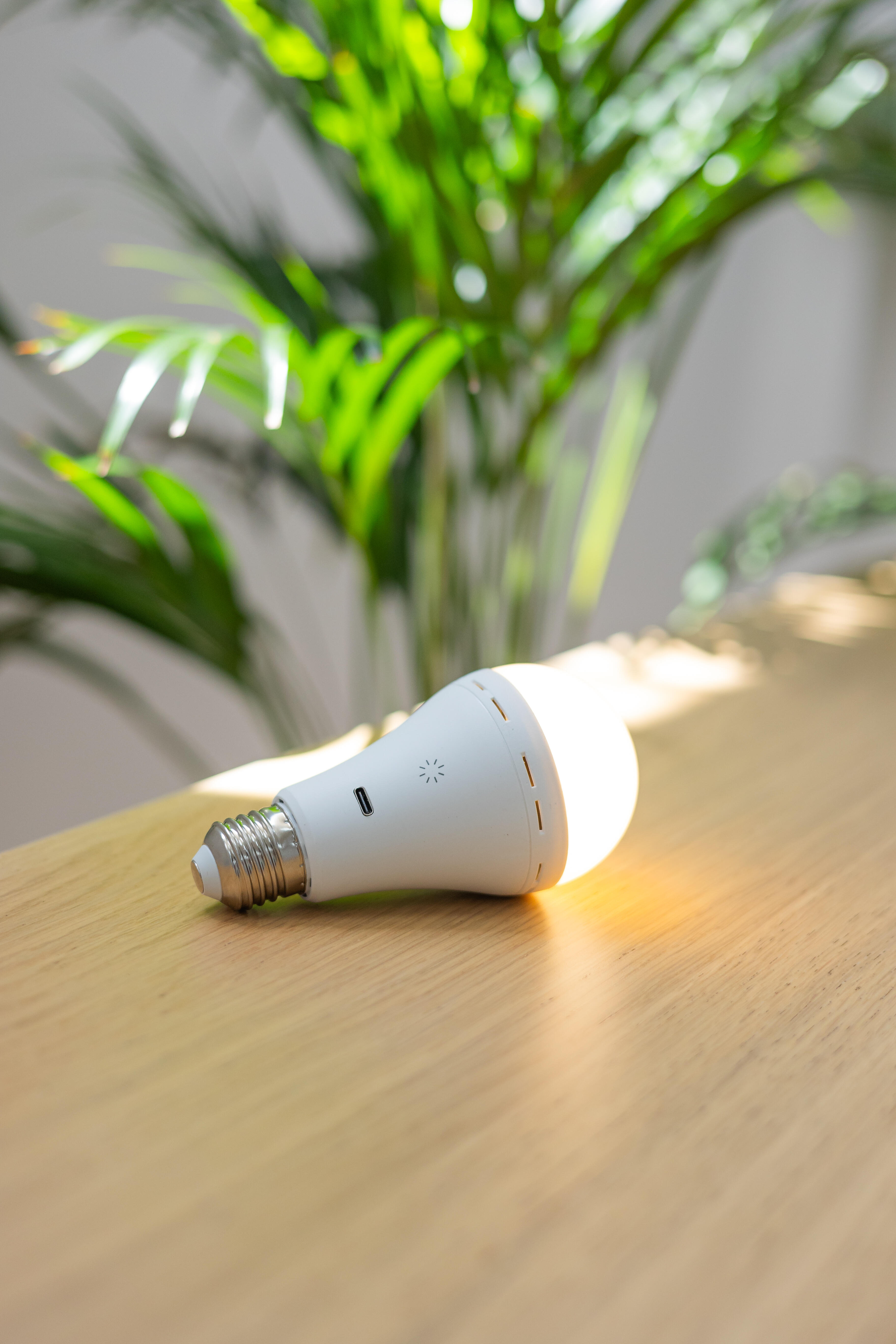 Ampoule led rechargeable USB, E27, 350lm, variation de blancs, NEWGARDEN - 2