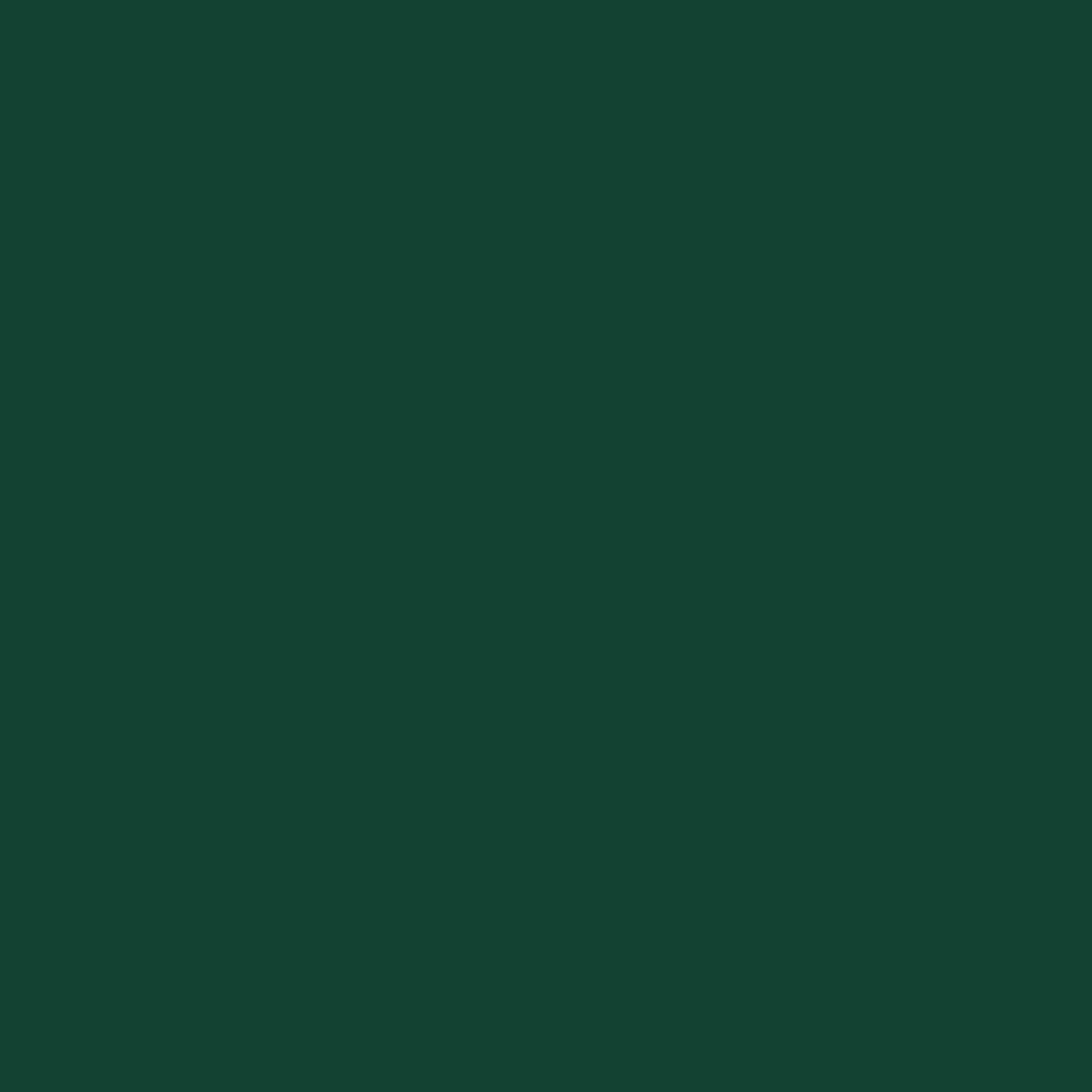 Peinture extérieure bois, aluminium, pvc . SYNTILOR vert basque satiné 125ml - 2