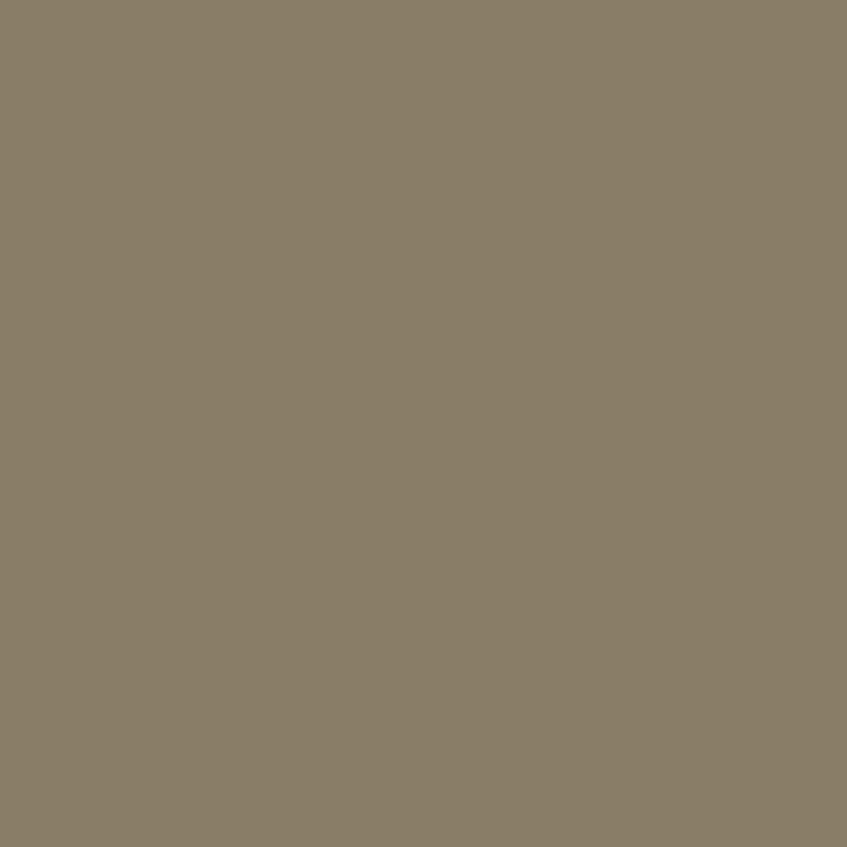 Peinture extérieure bois, aluminium, pvc, SYNTILOR lichen satiné 125ml - 2