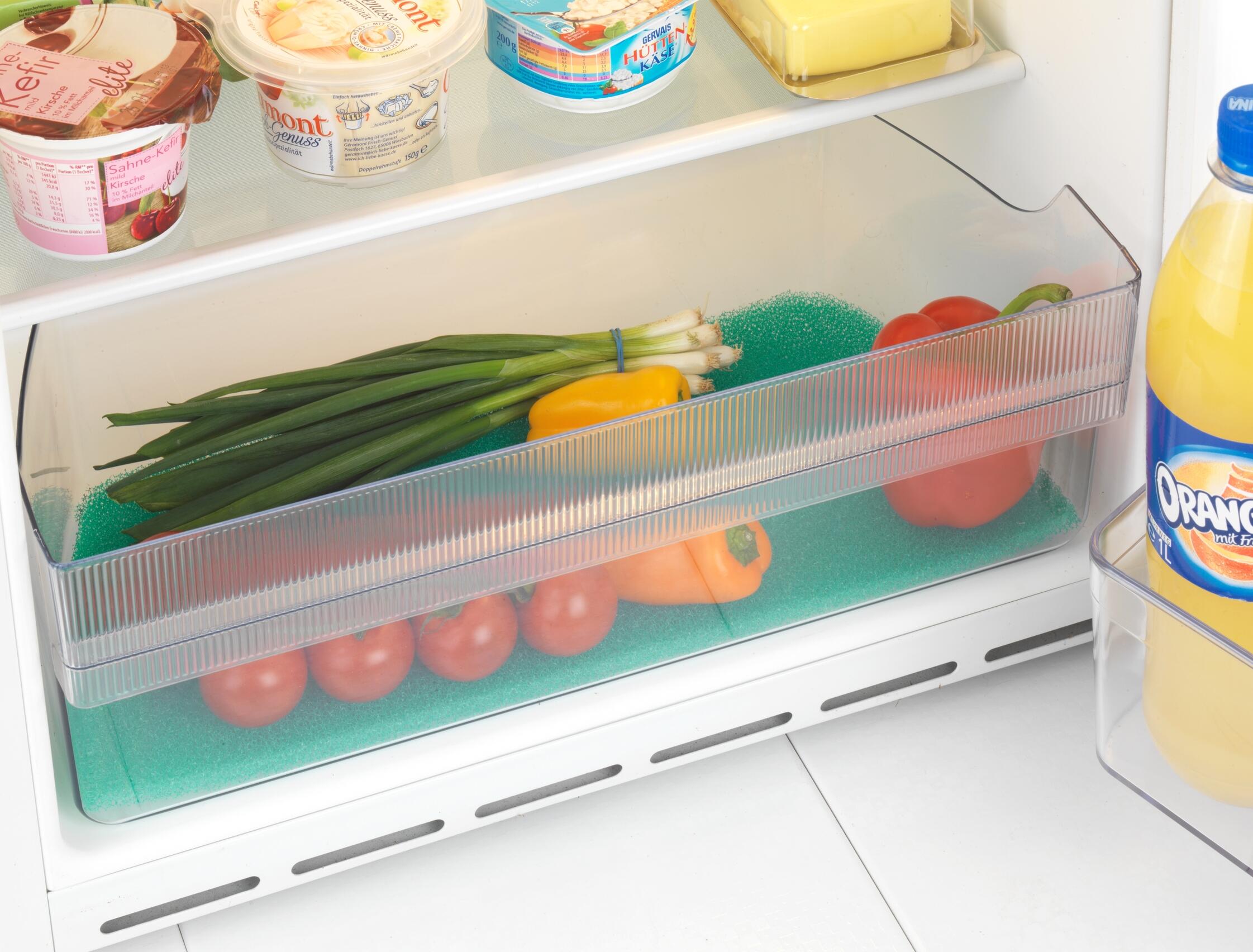 Protector de alimento fresco WENKO de poliuretano verde 29.5x46cm - 10