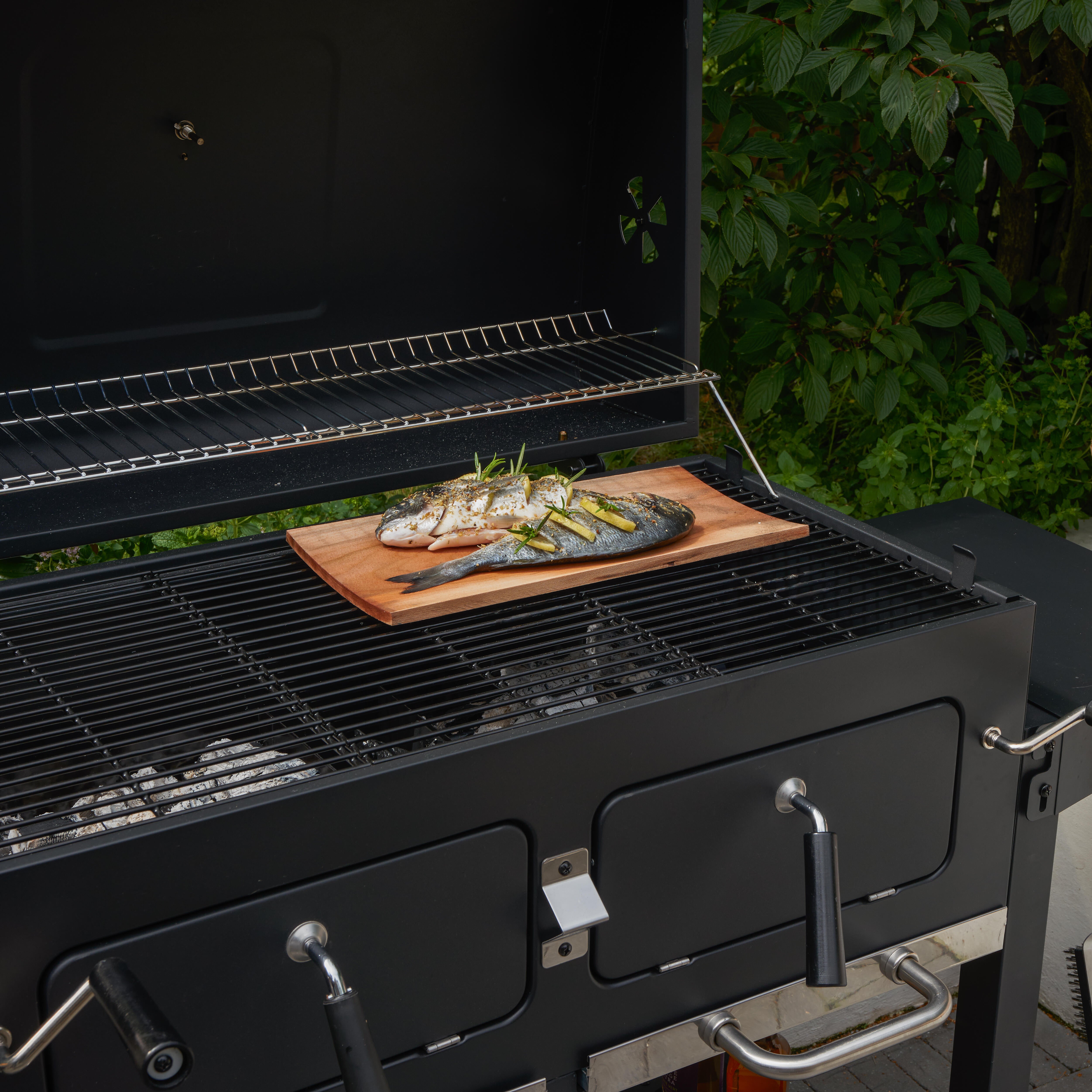 Barbecue a carbonella Centaurus King 2 NATERIAL - 10