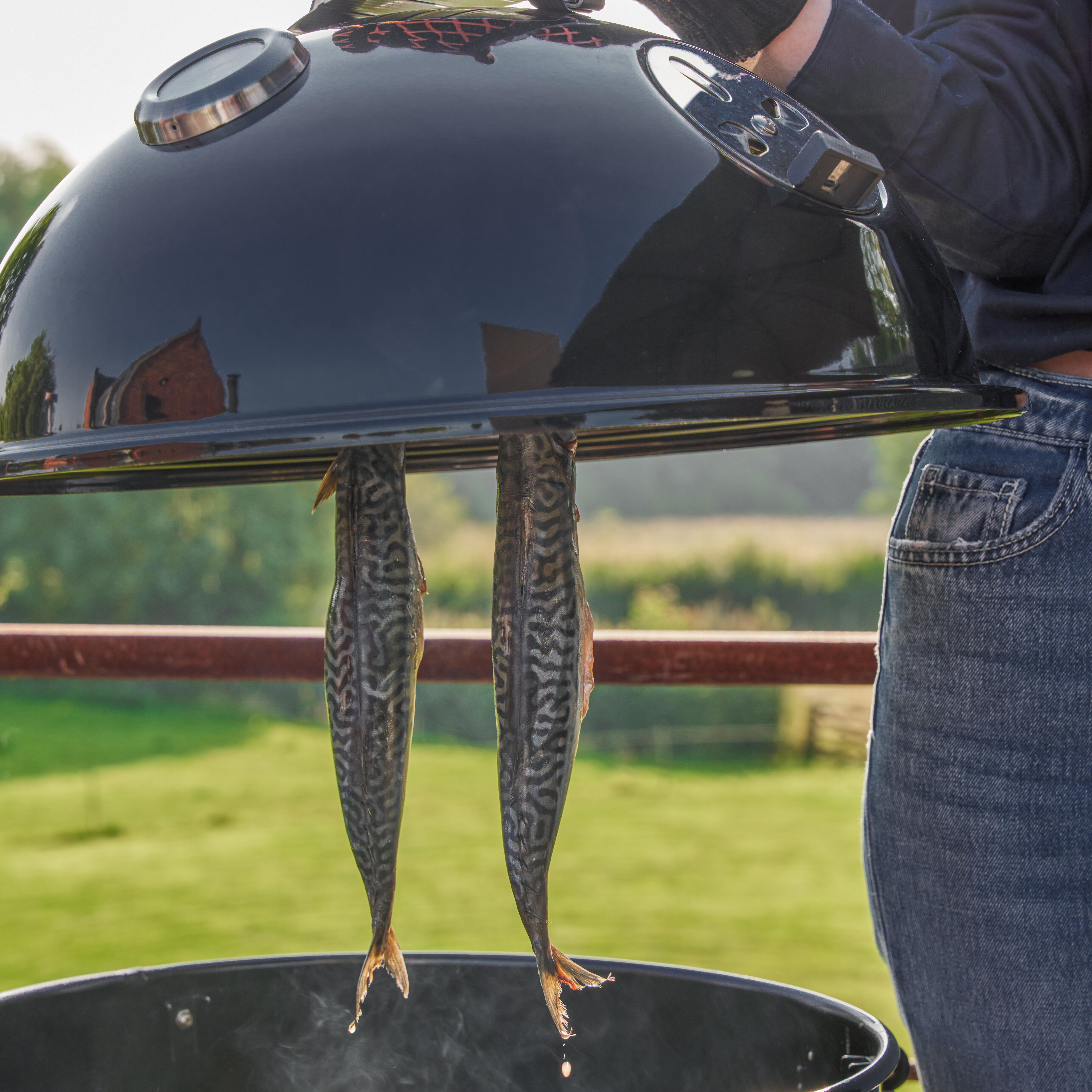 Barbecue defumador 62x52x104 cm Naterial Fumigo - 17