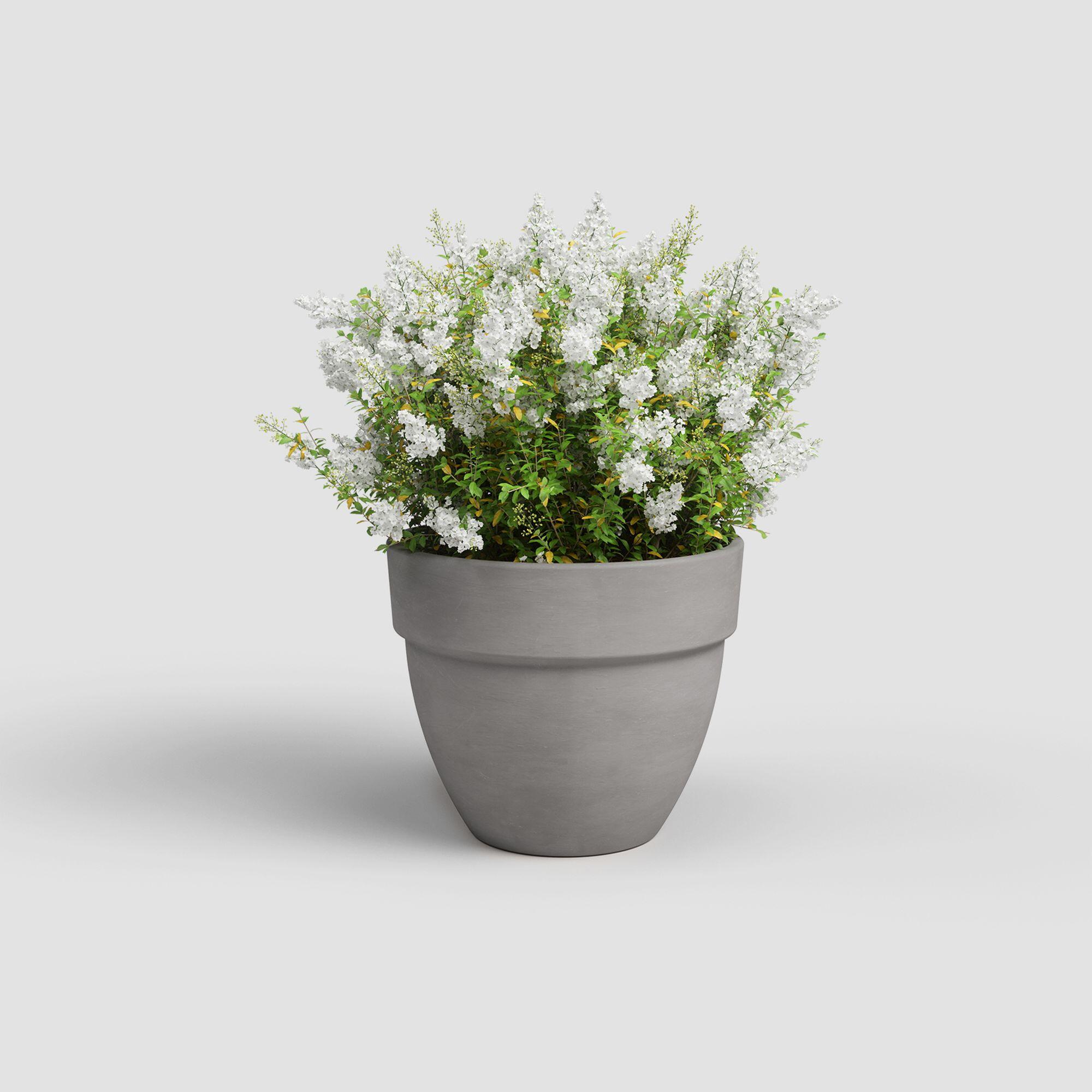 Maceta cónica de terracota ARTEVASI Amália ø 60 cm y 50.2 cm altura gris - 2