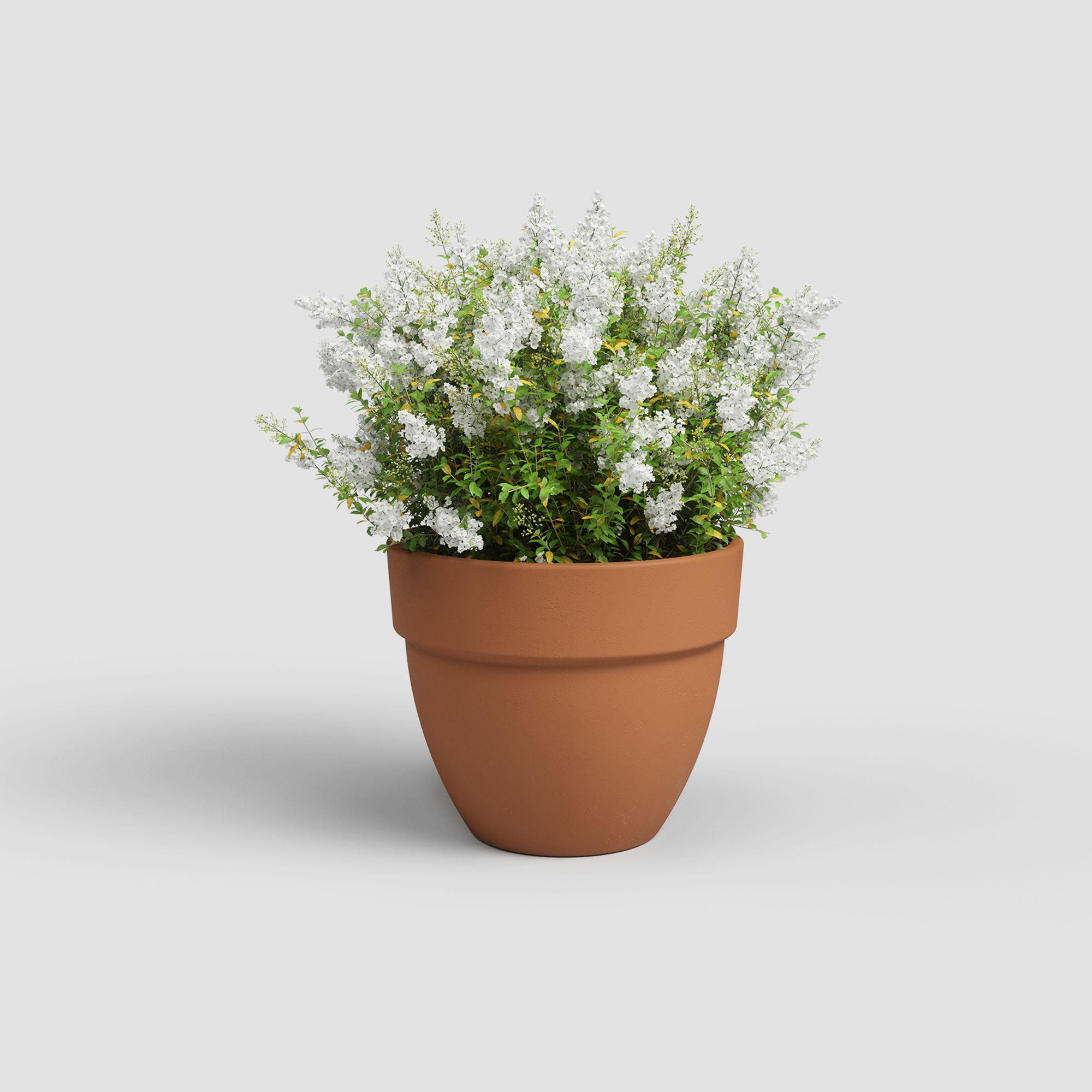 Maceta cónica de terracota ARTEVASI Amália ø 60 cm y 50.2 cm altura naranja - 2