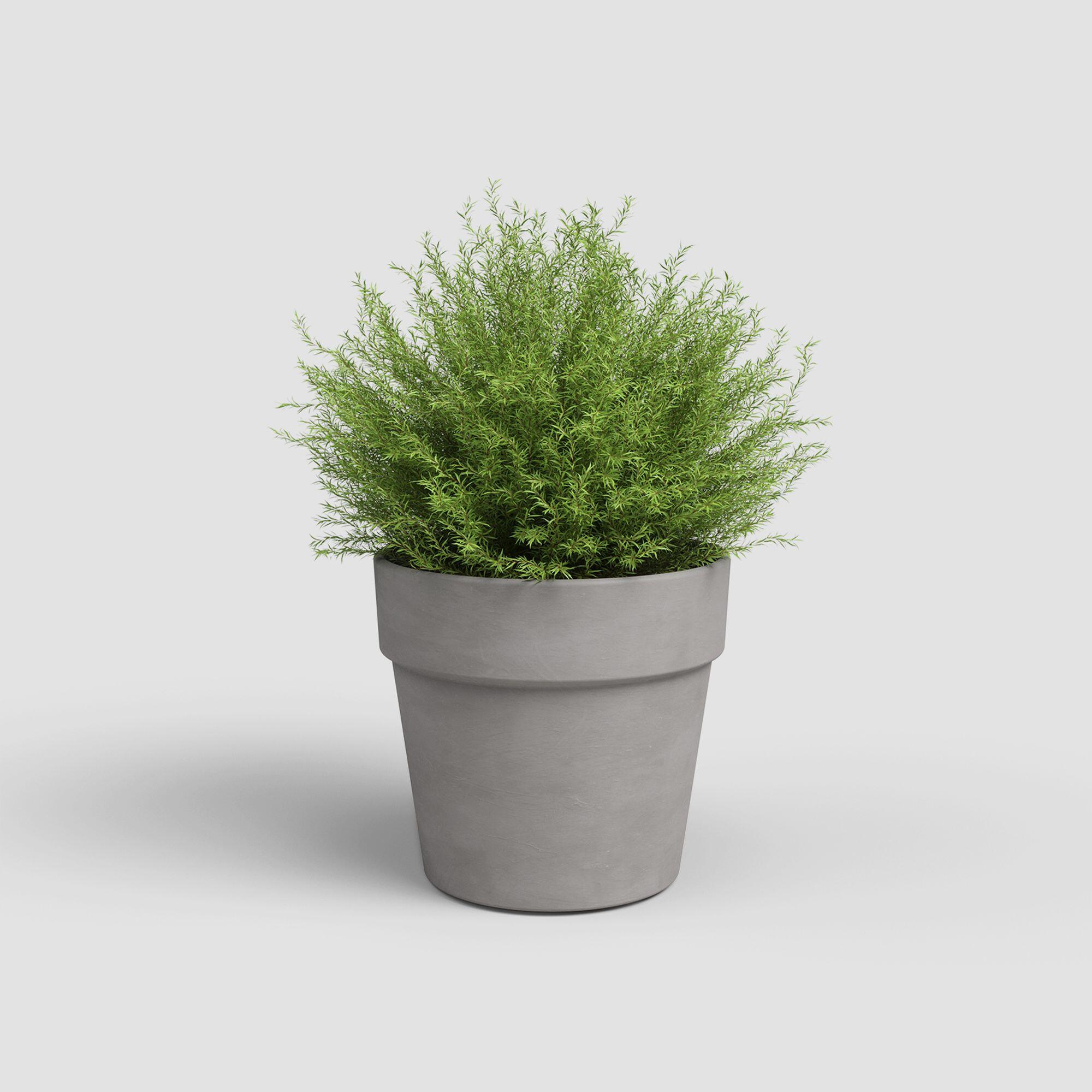 Maceta cilíndrica de terracota ARTEVASI Amália Ancha ø 60 cm y 49.5 cm altura gris - 2