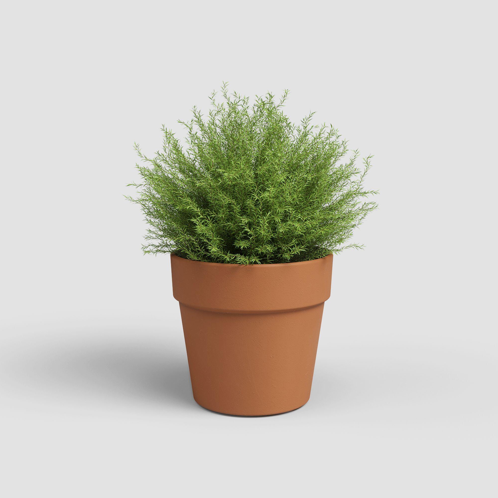 Maceta cilíndrica de terracota ARTEVASI Amália Ancha ø 60 cm y 49.5 cm altura naranja - 2