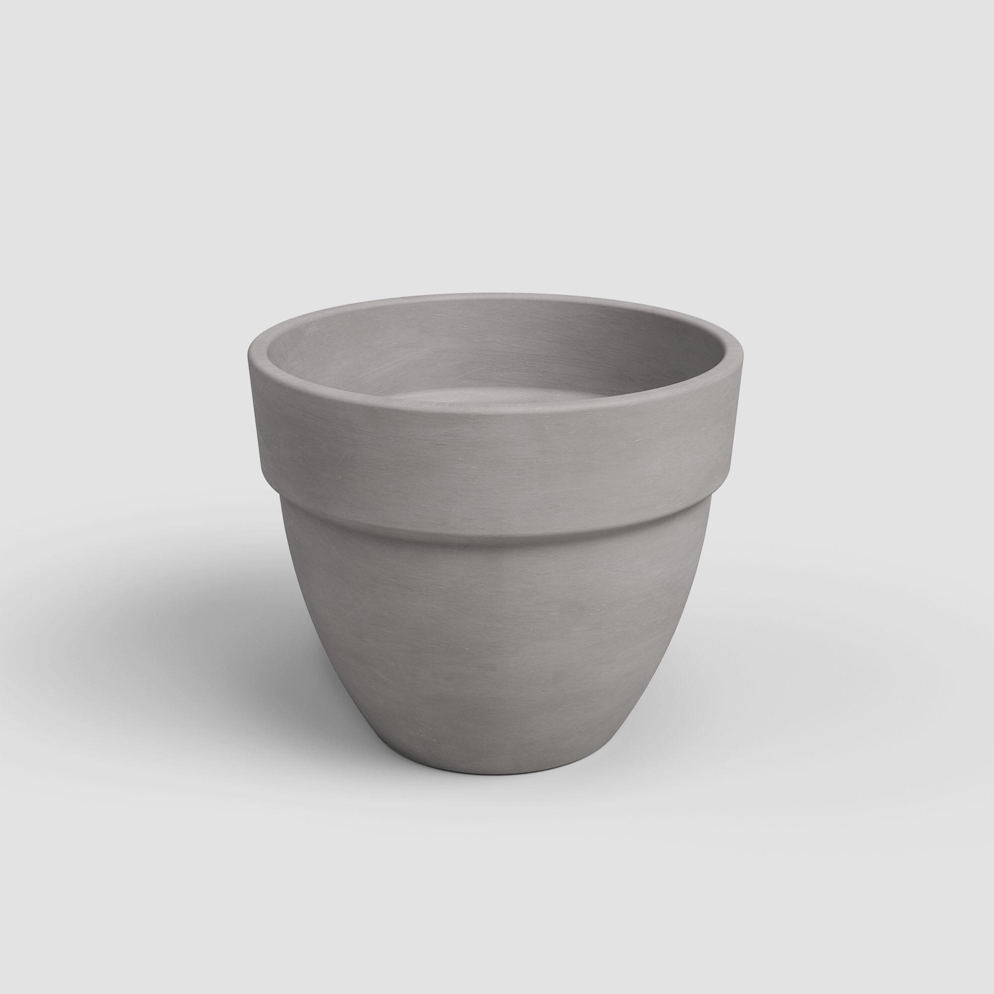 Gris