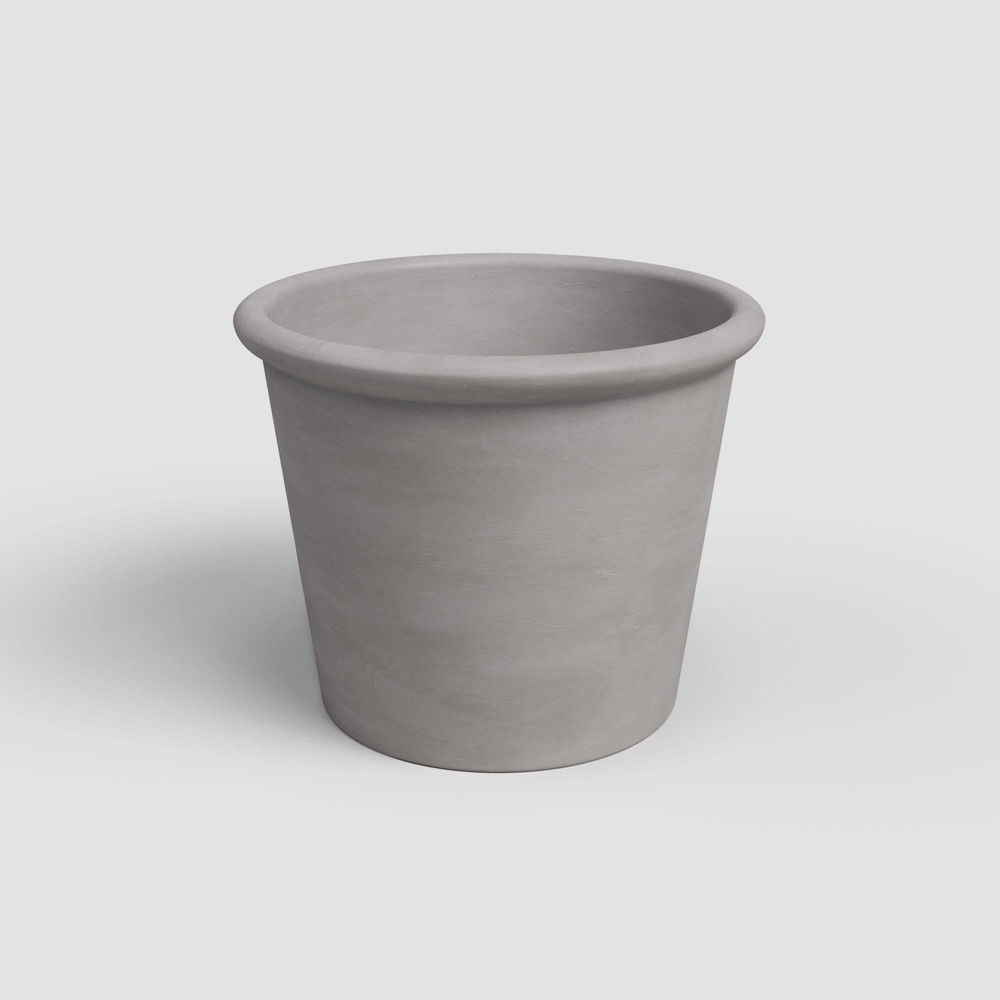 Gris