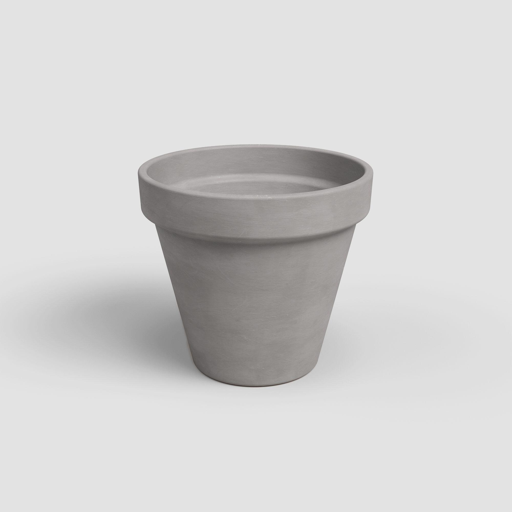 Gris