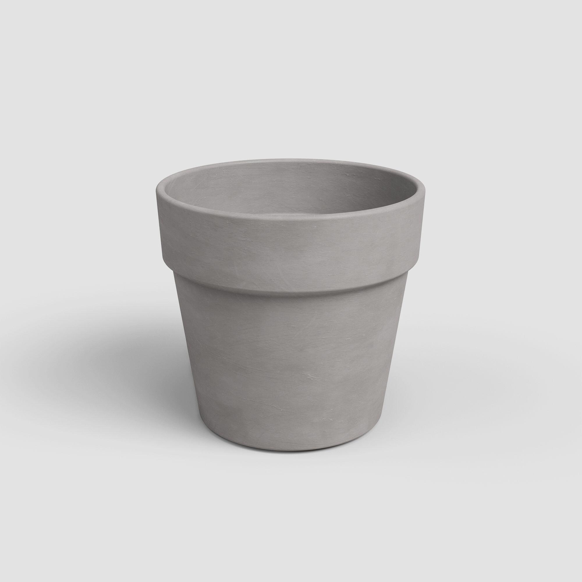 Gris
