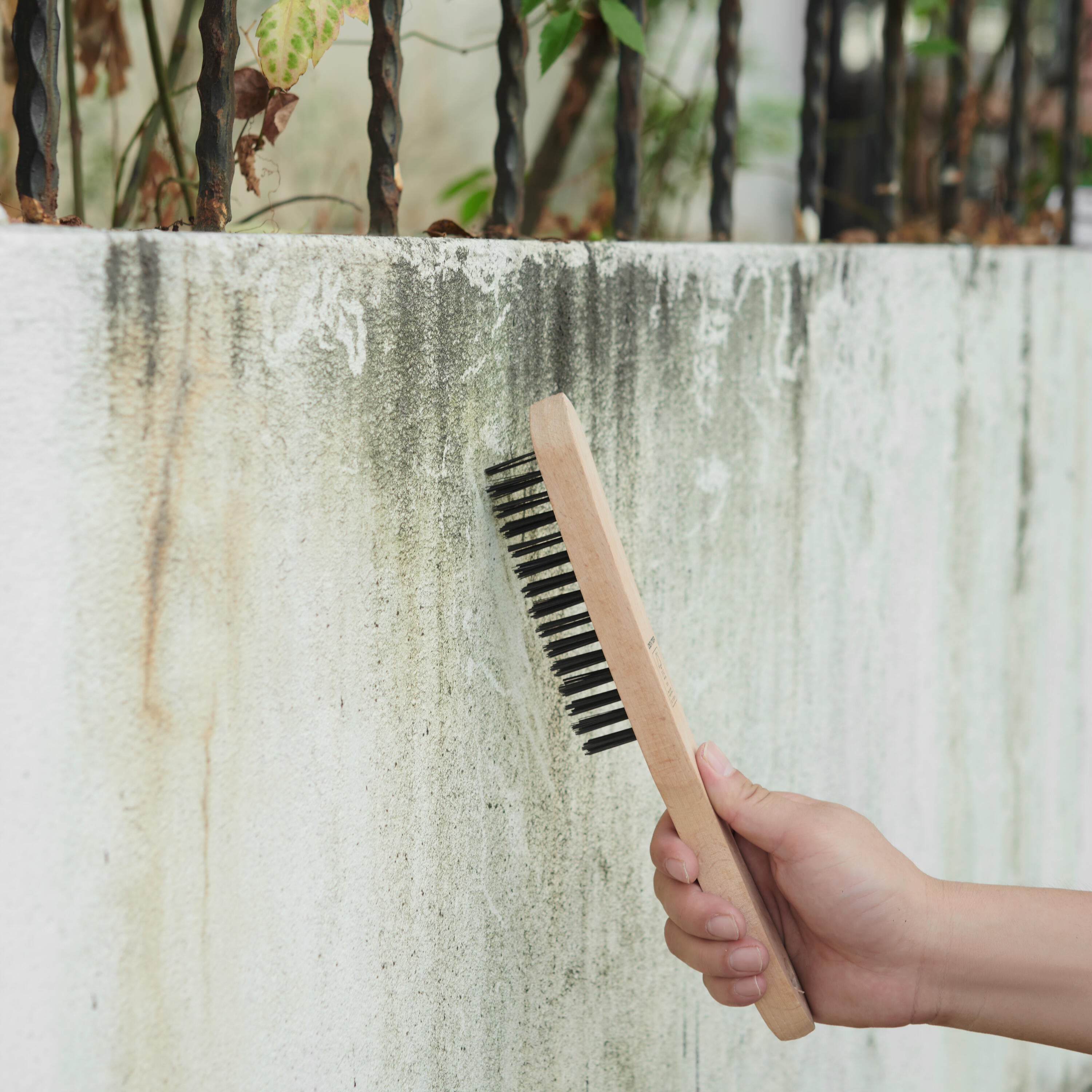 Cepillo de mano DEXTER  cm de - 2