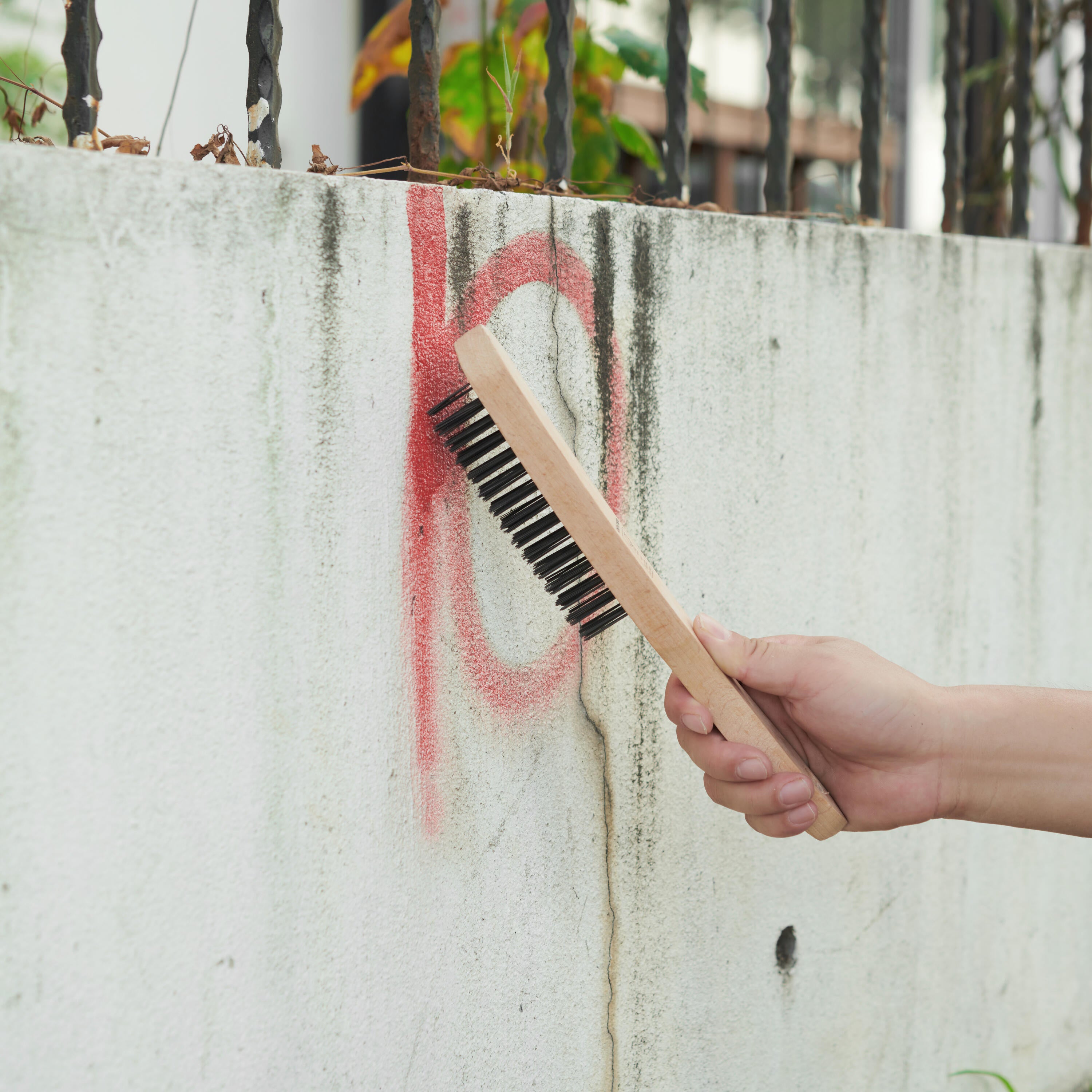 Cepillo de mano DEXTER  cm de - 4