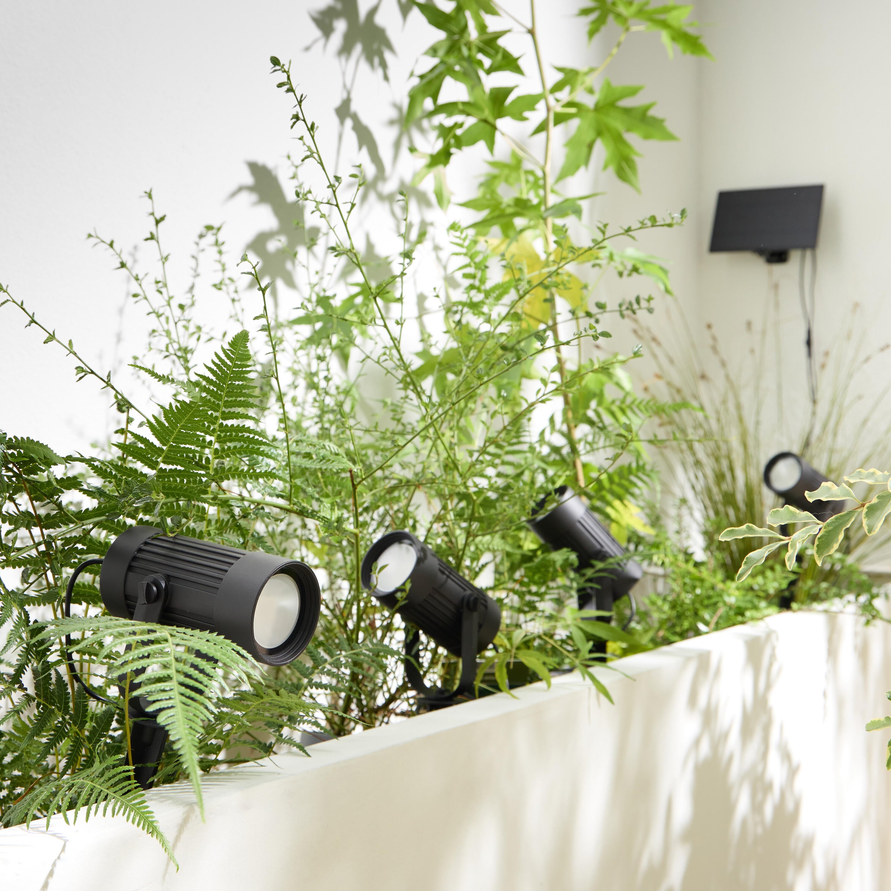 4 Projetores solar Ealge IP65 250lm 4000K Inspire - 5