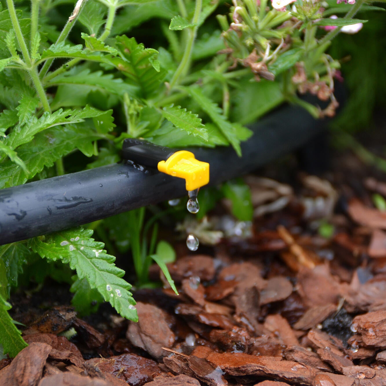 Estaca para tubo 16 mm 25 unidades Geolia - 15