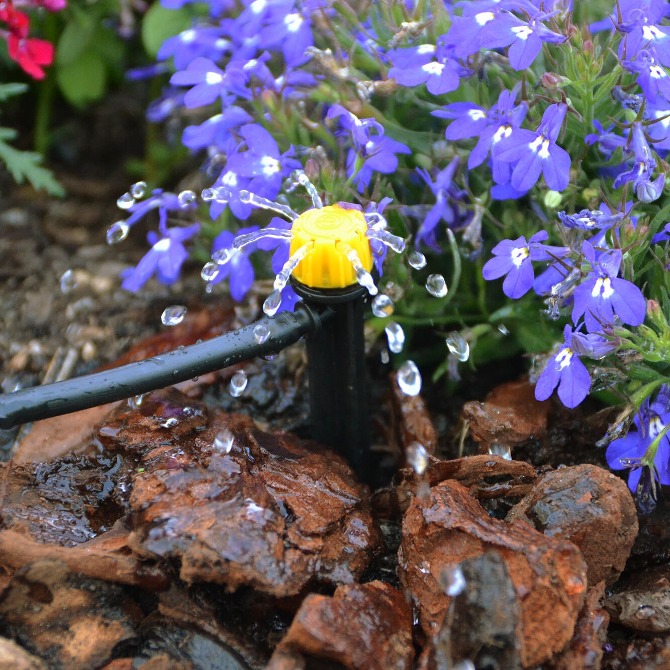 Gocciolatore fine linea smontabile per superfici circolari in polipropilene GEOLIA 40 l/h - 2