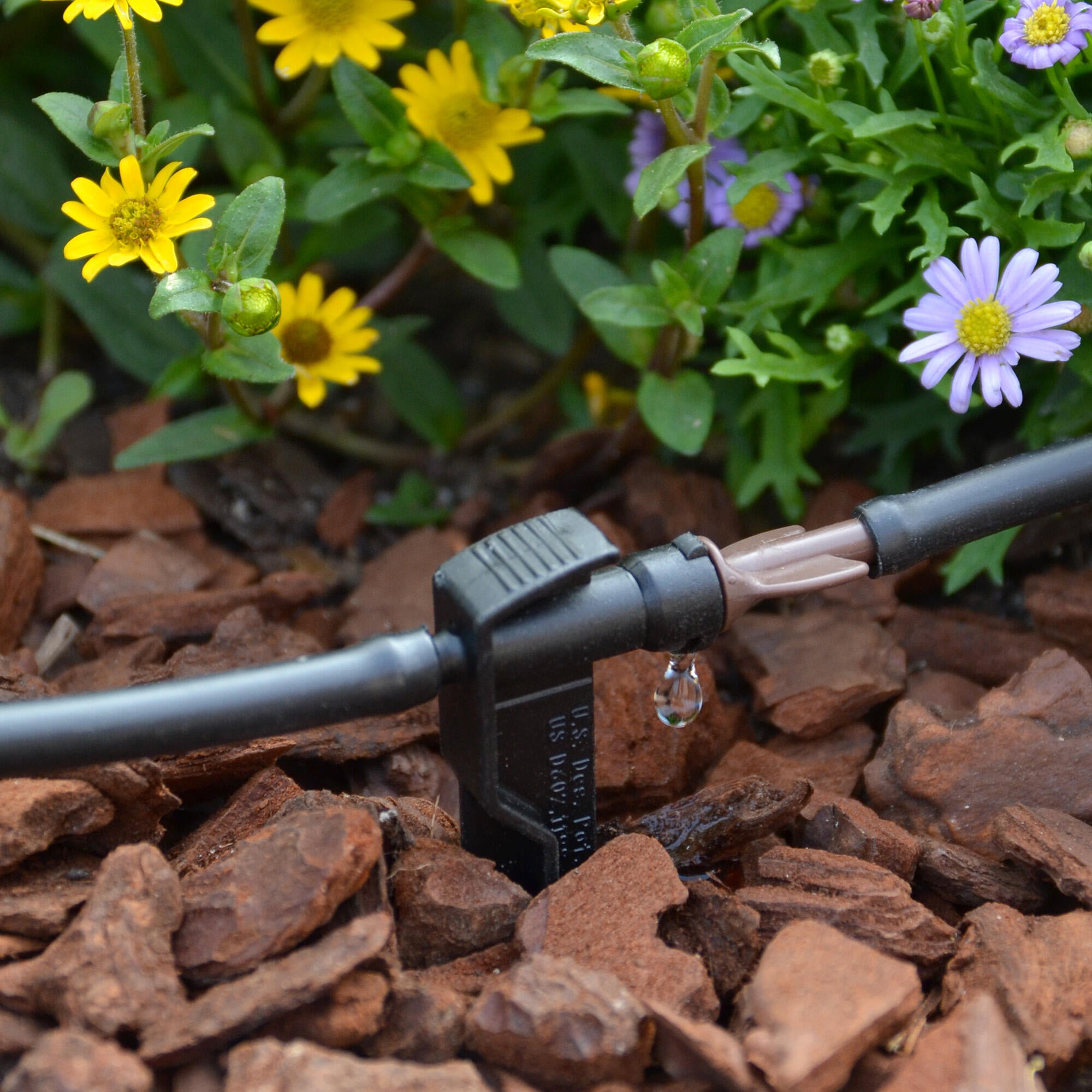 Foto ambientale del sistema di irrigazione su uno sfondo di fiori  - 1