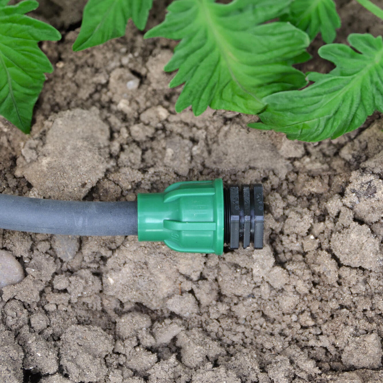 Terminal aperto 16 mm Geolia - 2