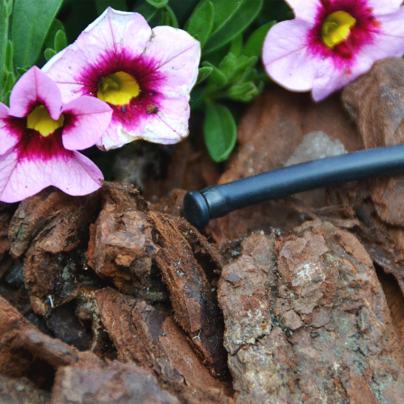 Gotejador regulável 0-60 L/h 25 unidades Geolia - 21