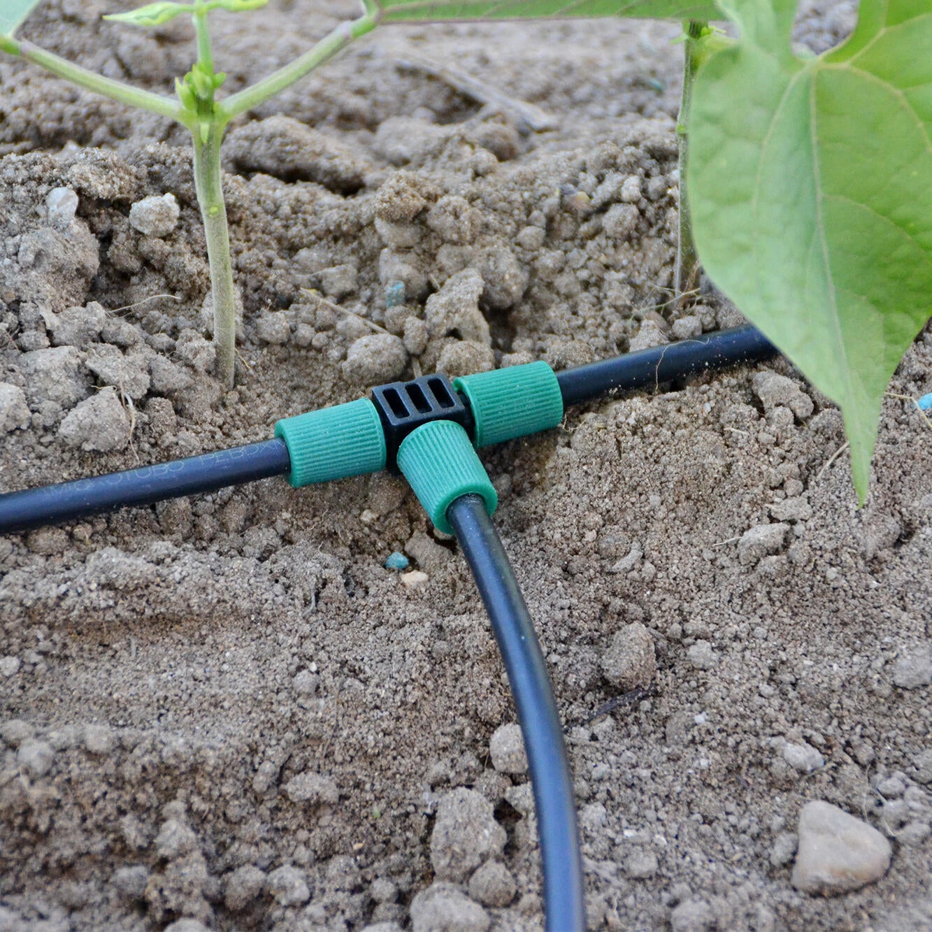 Gotejador regulável 0-60 L/h 25 unidades Geolia - 14