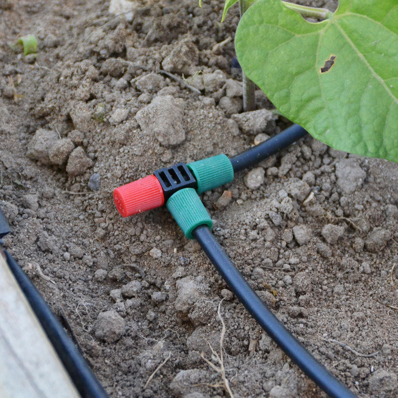 Gotejador regulável 0-60 L/h 25 unidades Geolia - 13