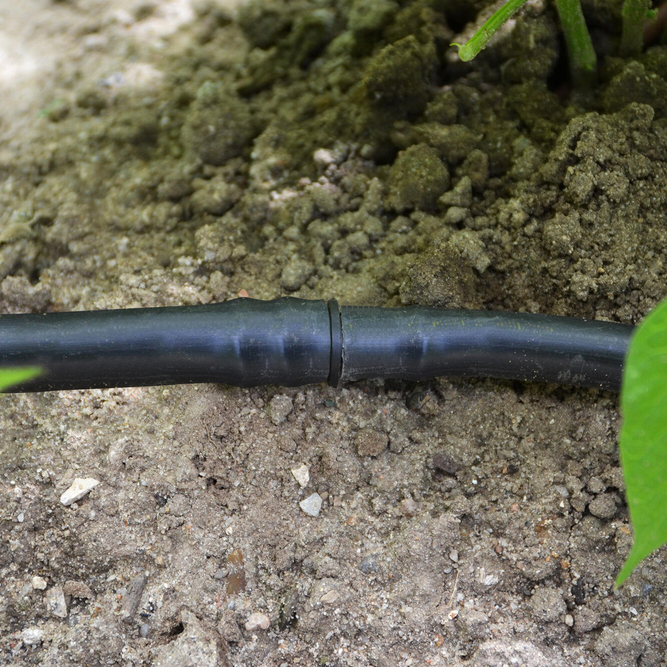 Gotejador regulável 0-60 L/h 25 unidades Geolia - 8