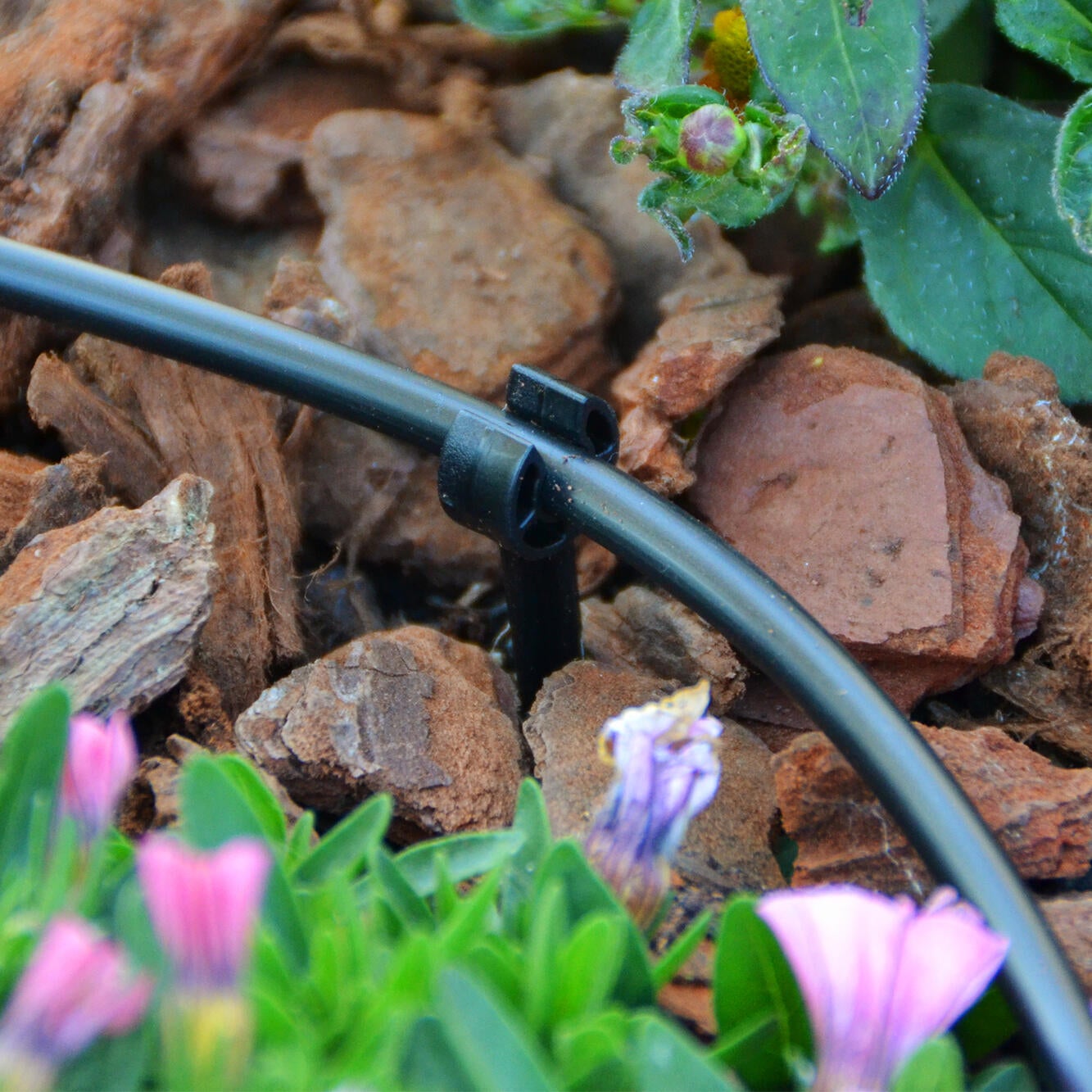 Estaca para tubo 4-6 mm 25 unidades Geolia - 4