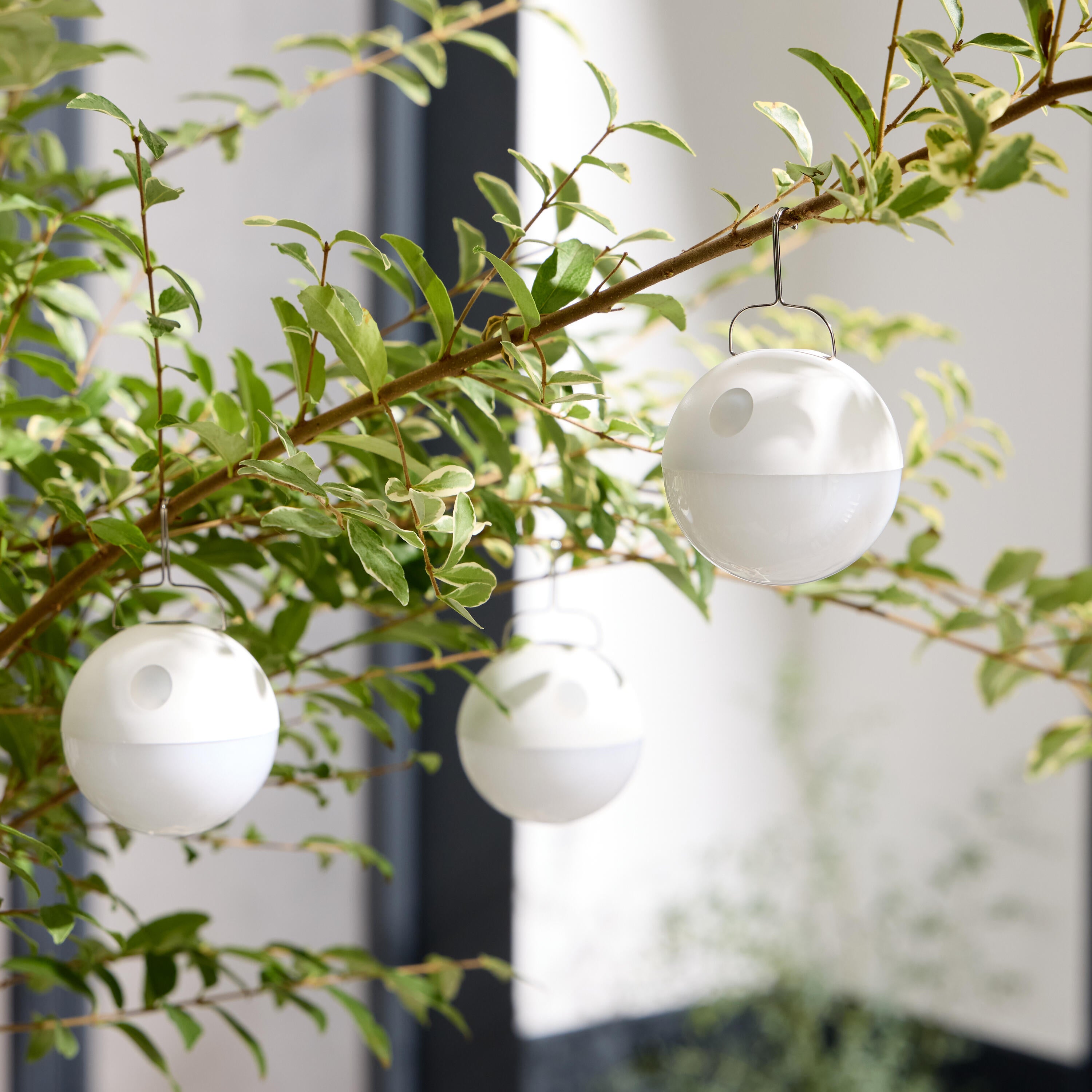 Lot 3 mini boules Led rechargeable 300 Lm intensité variable Mini Caspe INSPIRE - 2