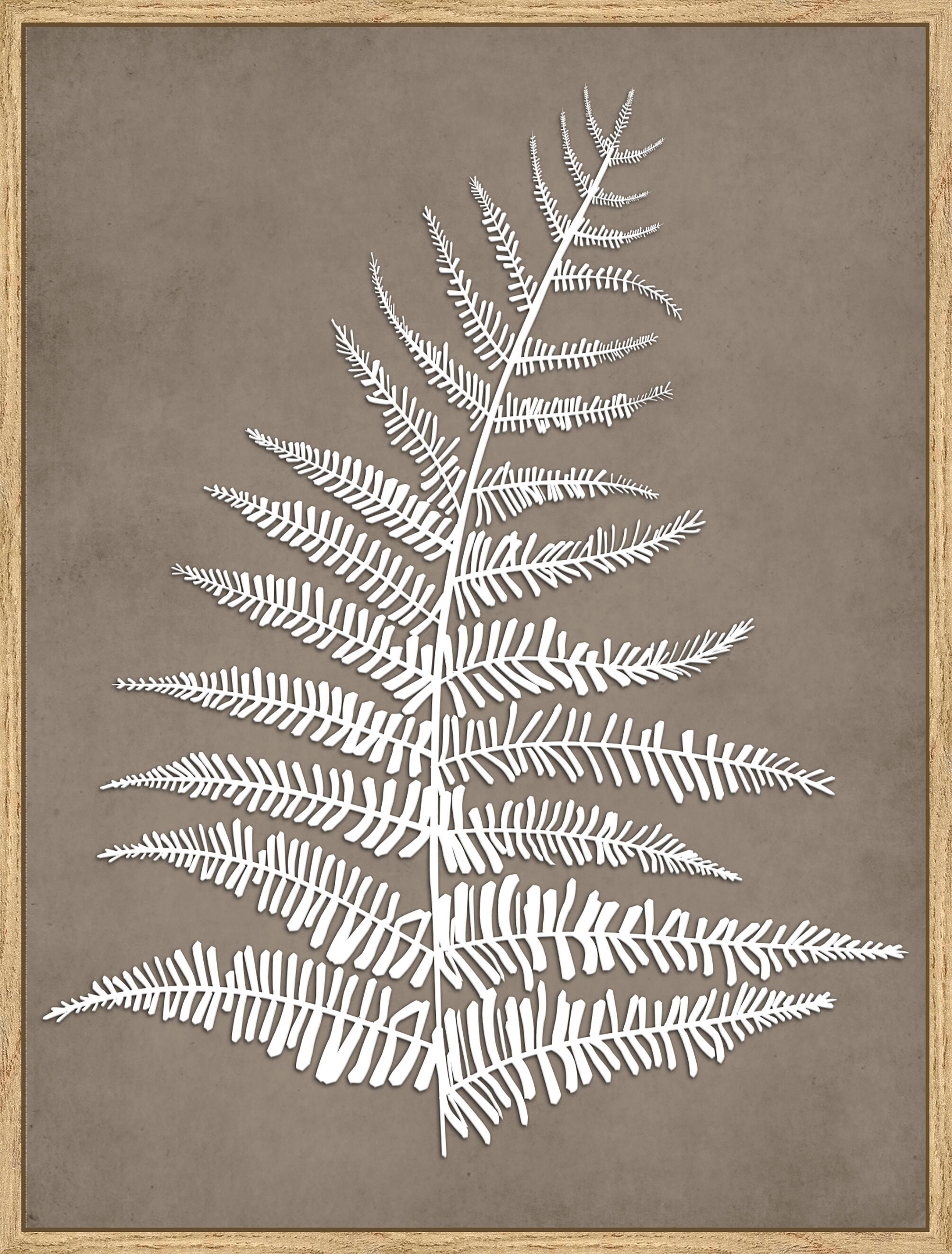 Cuadro pintura impresa enmarcada Botánica rectangular de 31 x 41 cm. MDF Helecho Relieve marrón. Marco color Haya - 2