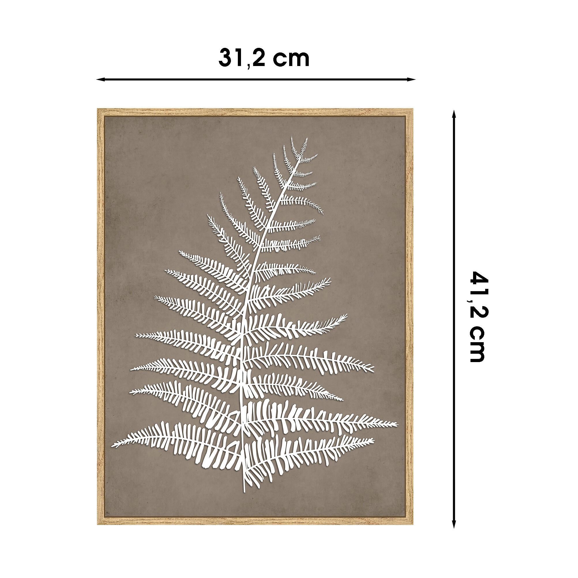 Cuadro pintura impresa enmarcada Botánica rectangular de 31 x 41 cm. MDF Helecho Relieve marrón. Marco color Haya - 3