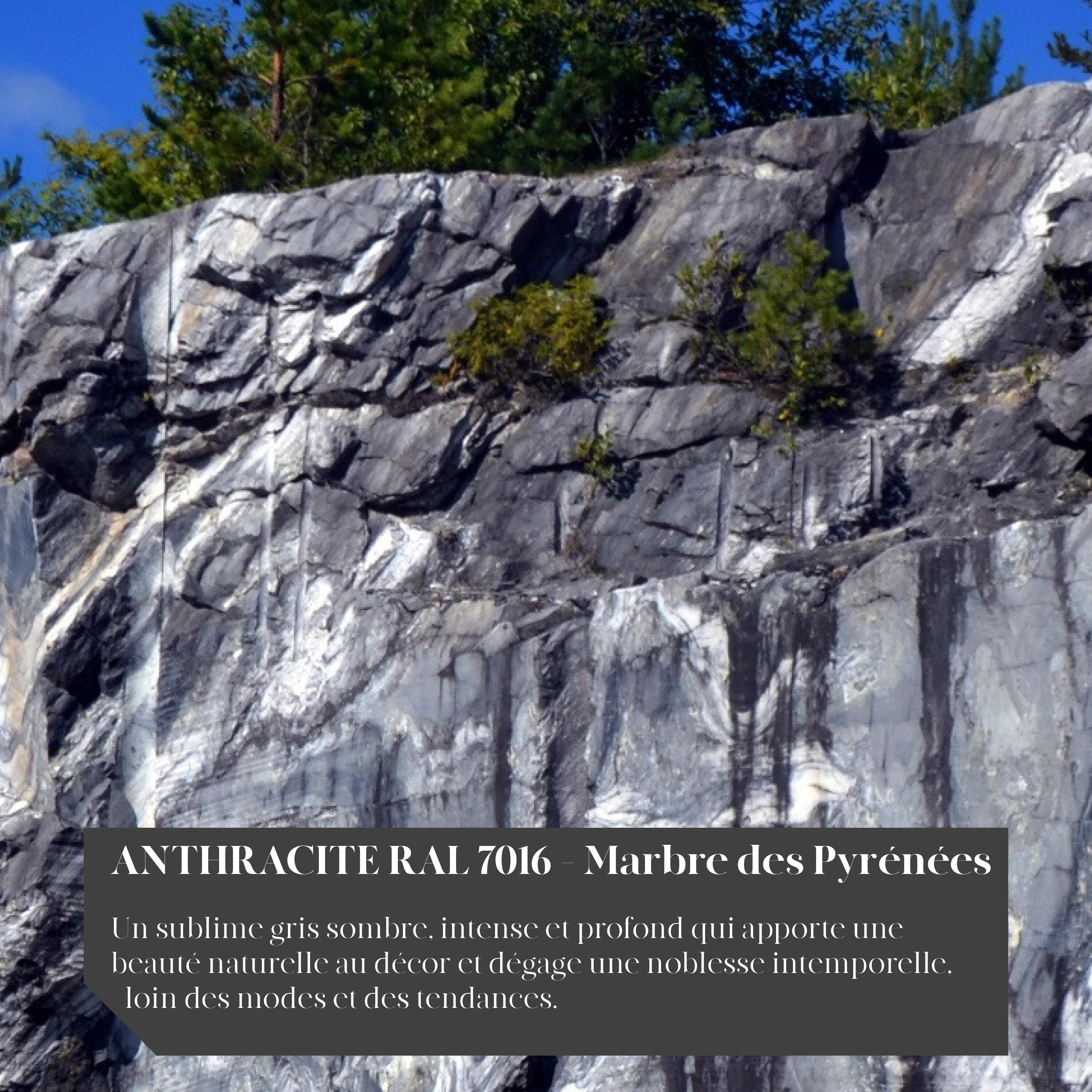 Peinture extérieure bois Couleurs d'ici ® V33 anthracite RAL 7016 velours 125ml - 3