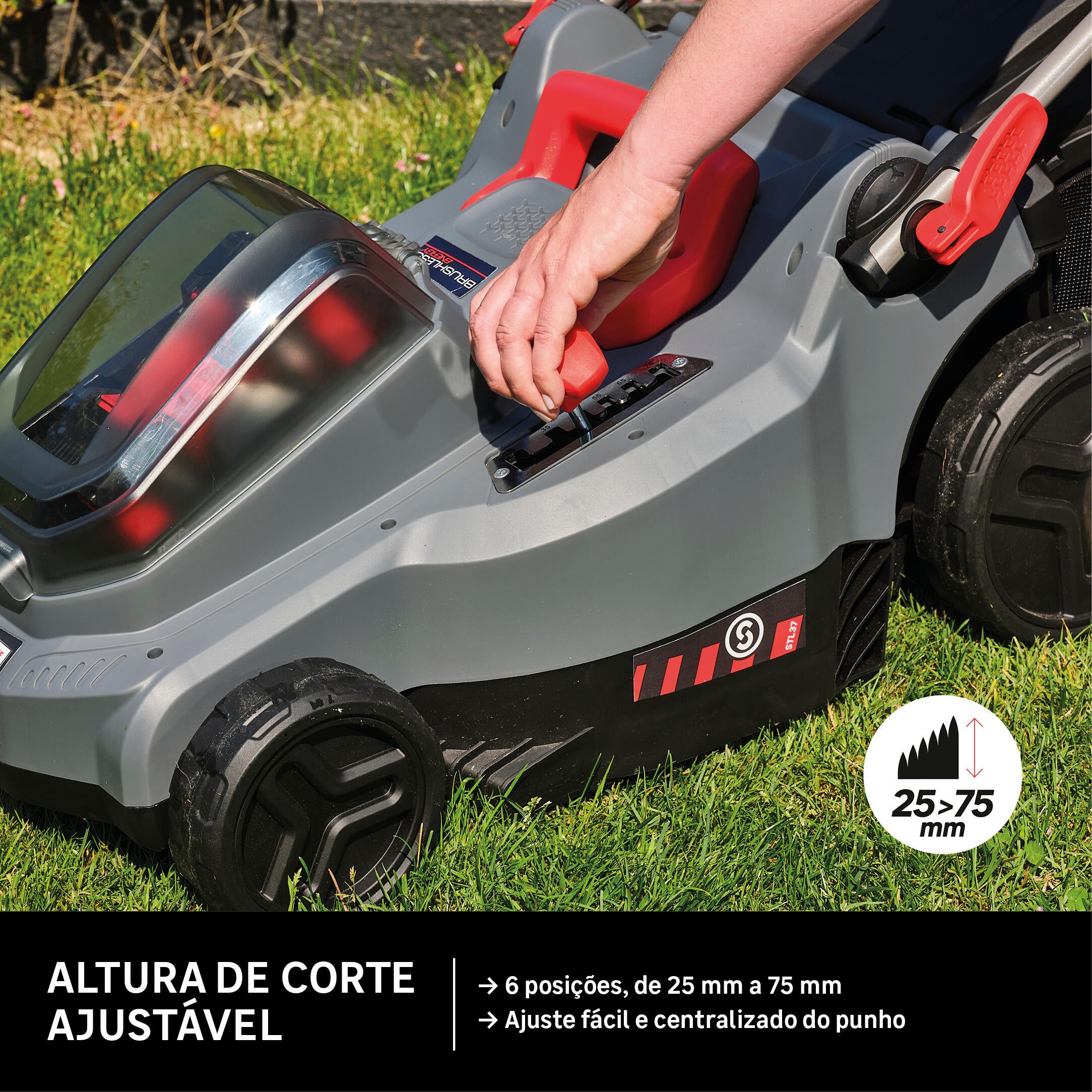 Corta relva bateria Sterwins 37cm 2x18V - 3