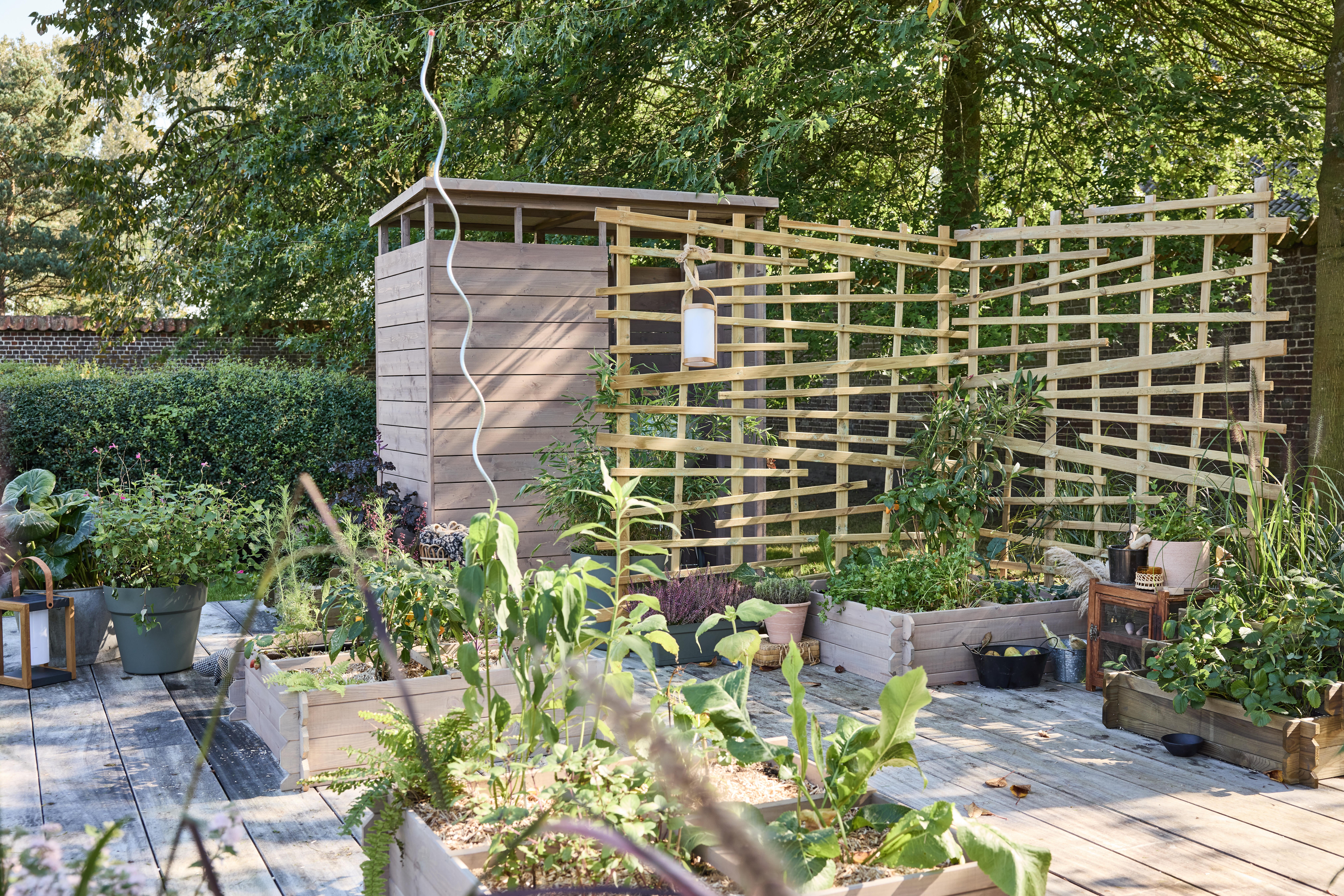 Tuteur tomate spirale NORTENE H.1.80 m - 5