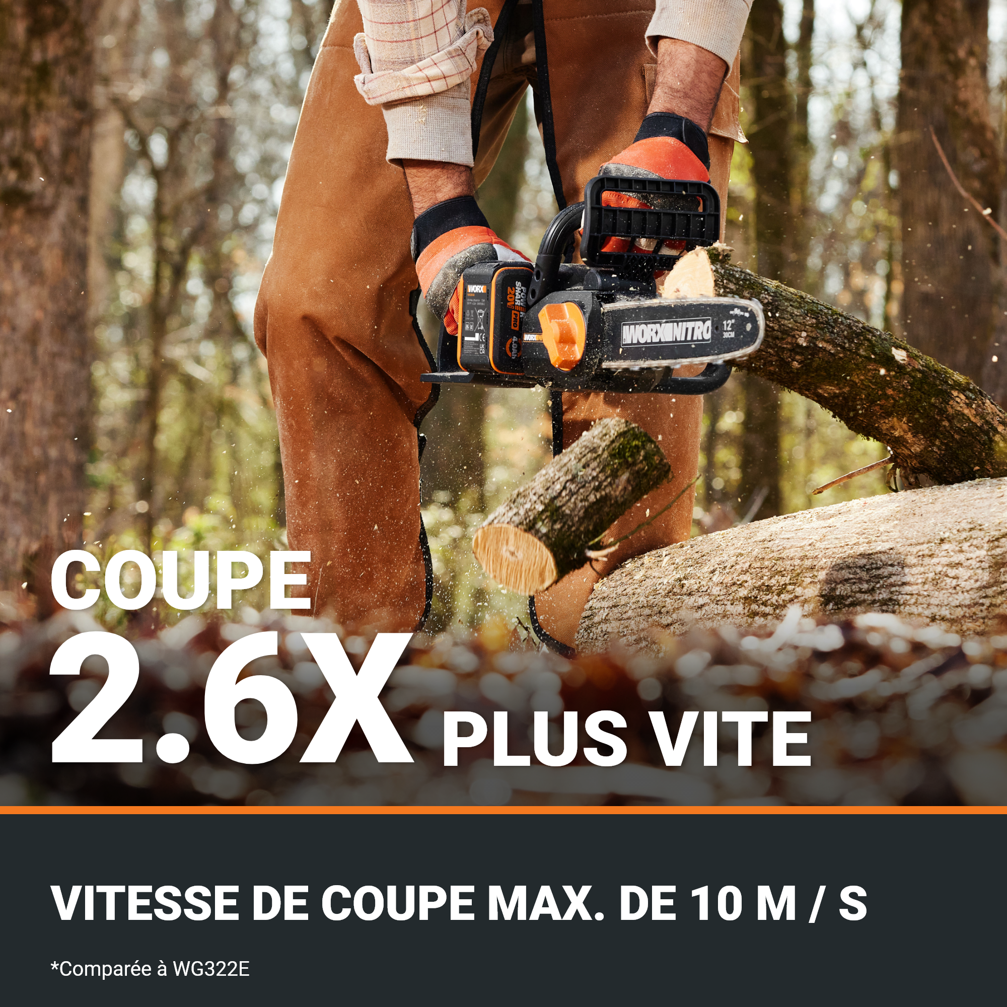 Tronçonneuse sur batterie WORX Wg350e 20 V, guide de 30 cm - 4
