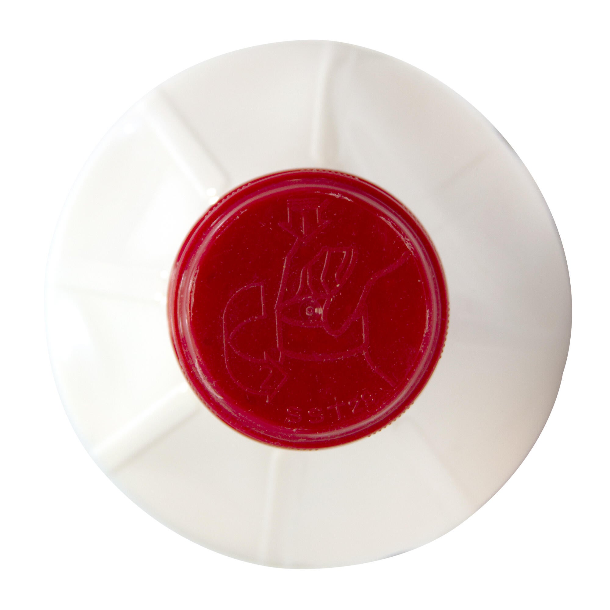 Gel de encendido para estufa de leña SANEPLAST Pyrofeu 1L - 7