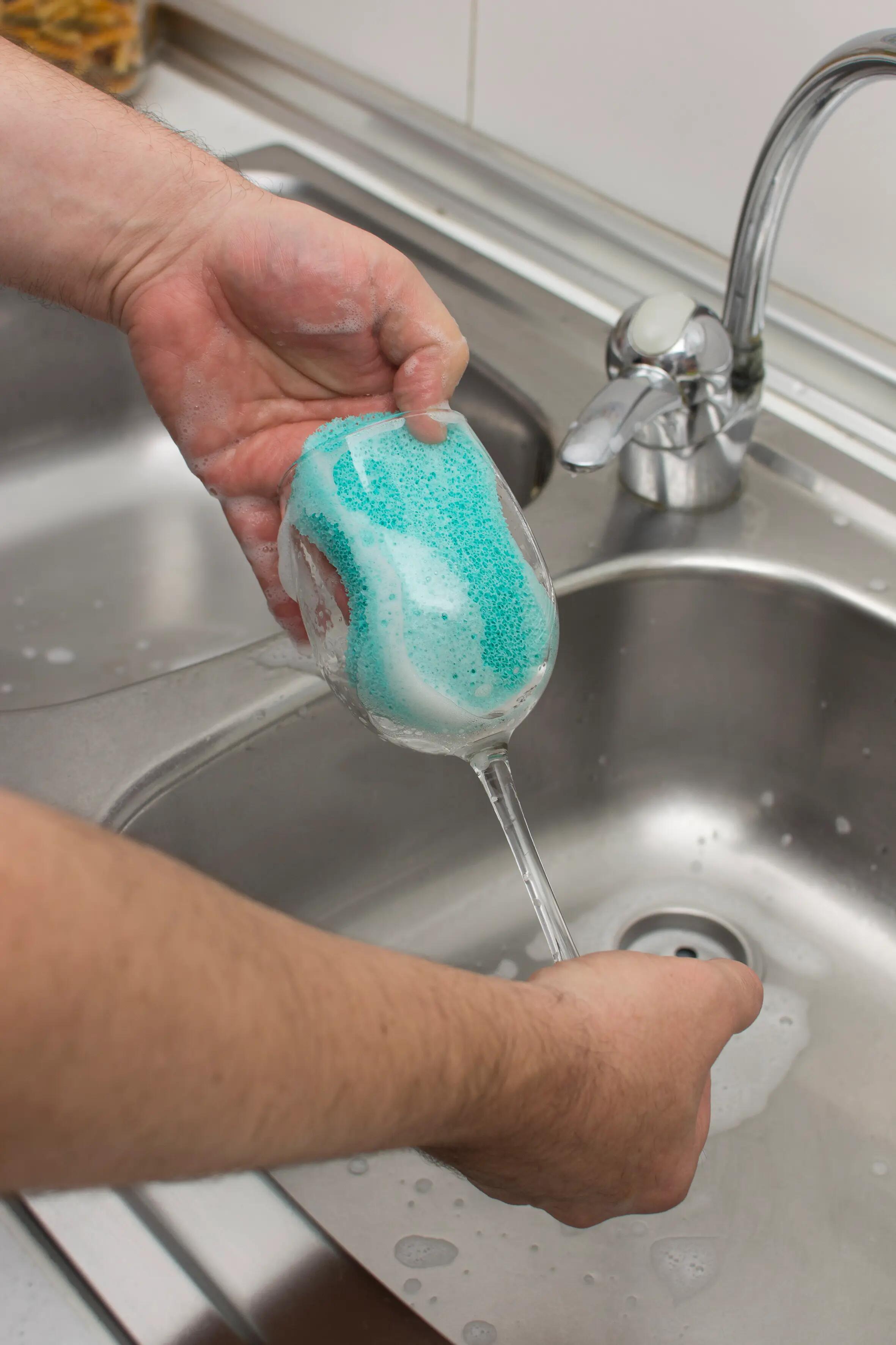 Spugna artificiale VHGSLCIND0489 5 pezzi - 2