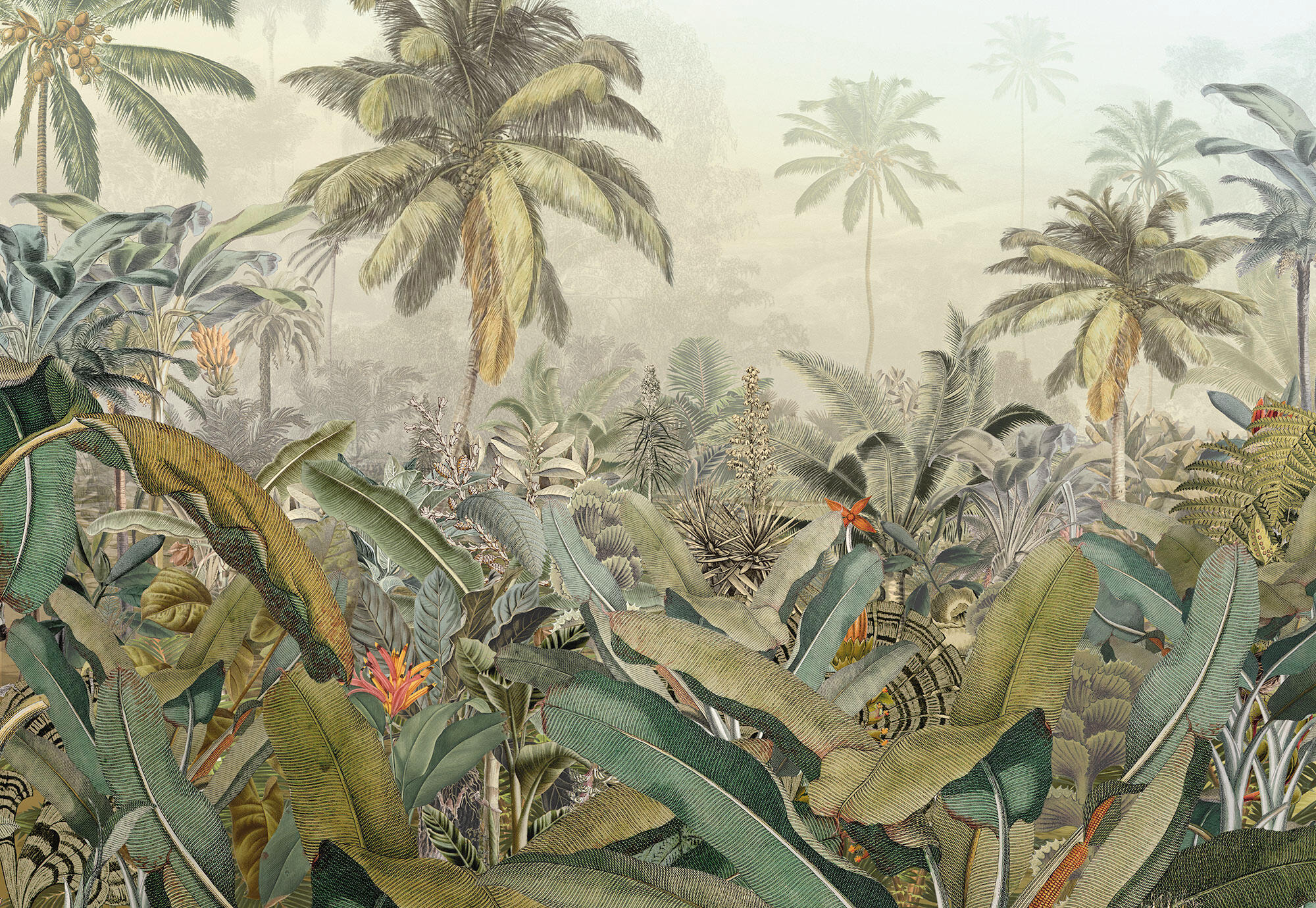 Mural TNT liso lavable naturaleza Amazonia verde/beige 368 x 248 cm KOMAR - 5