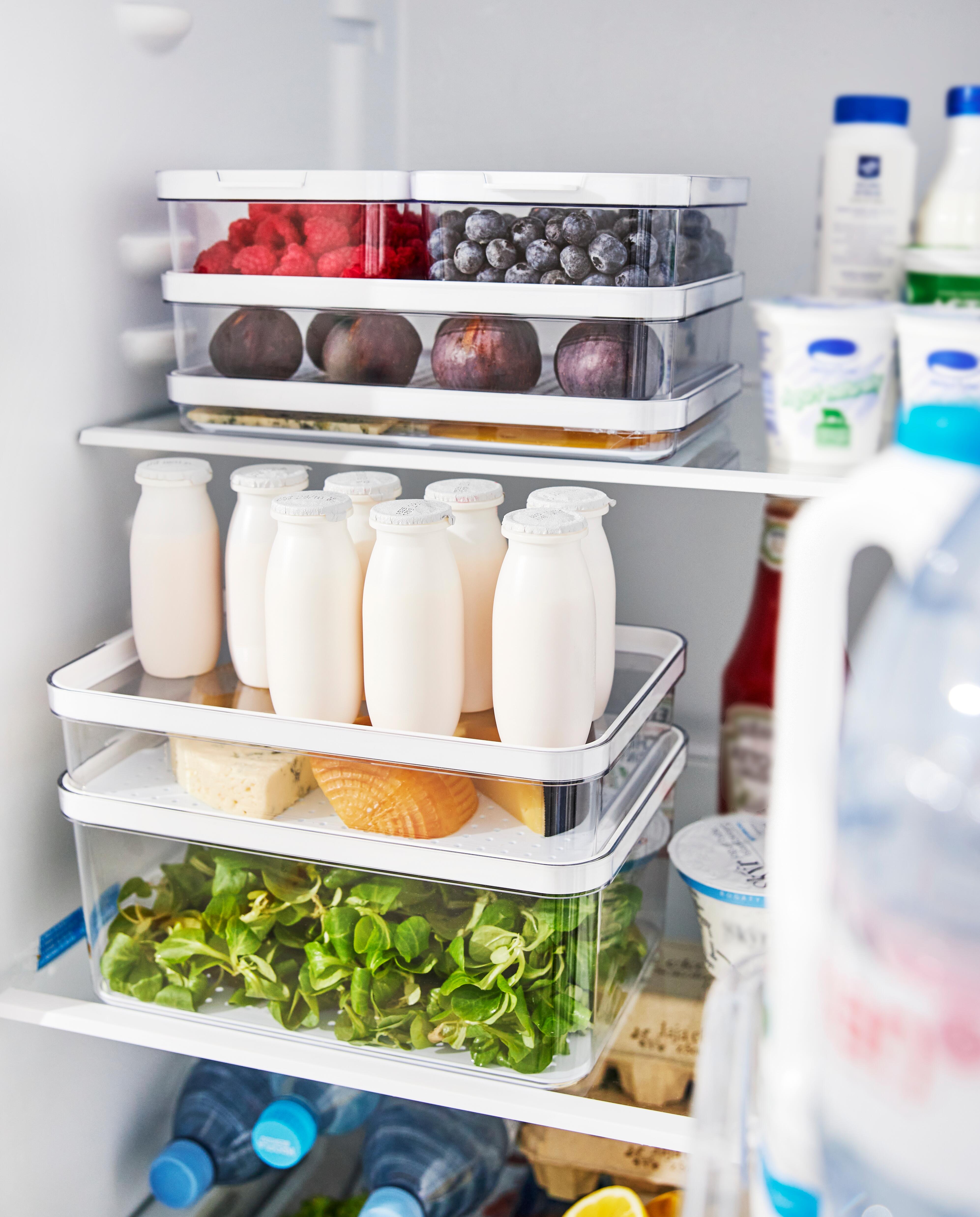 Boîte de rangement frigo, 4.65L Cauma ROTHO - 2