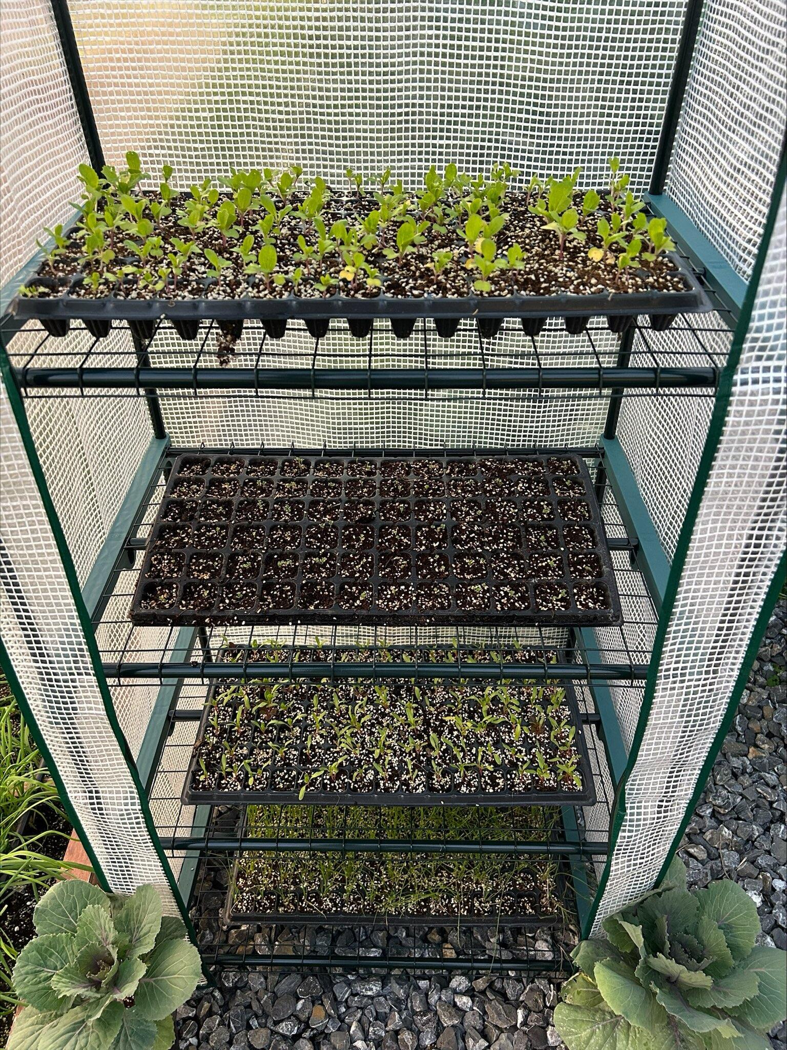 Serre de balcon en polyéthylène Serrarm, 0.7 m² - 4