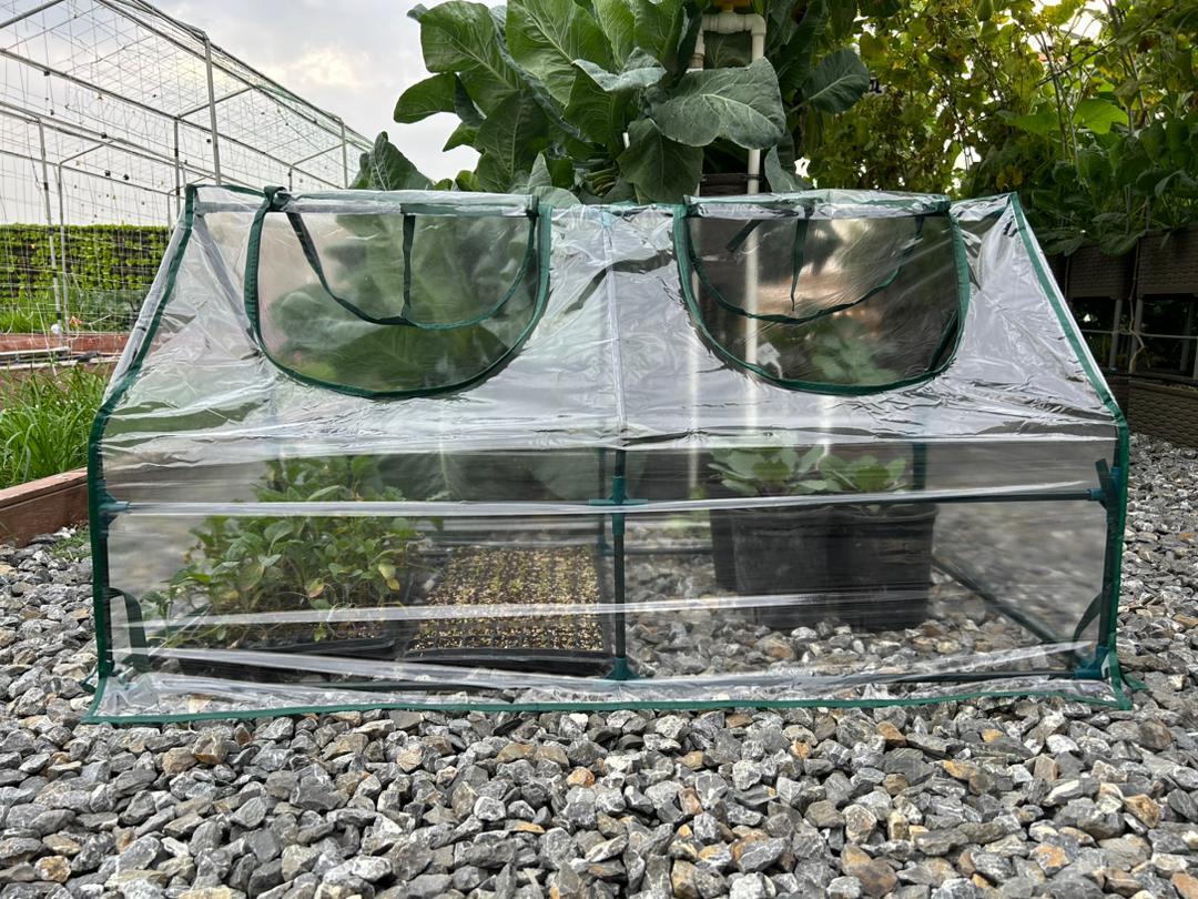 Serre de balcon en polyéthylène transparent, l.120 x P.60 x H.60 cm - 2