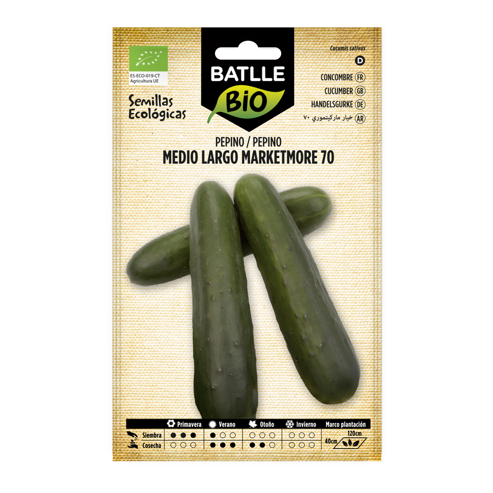 Plantones de hortalizas pepino marketmore 70 eco
