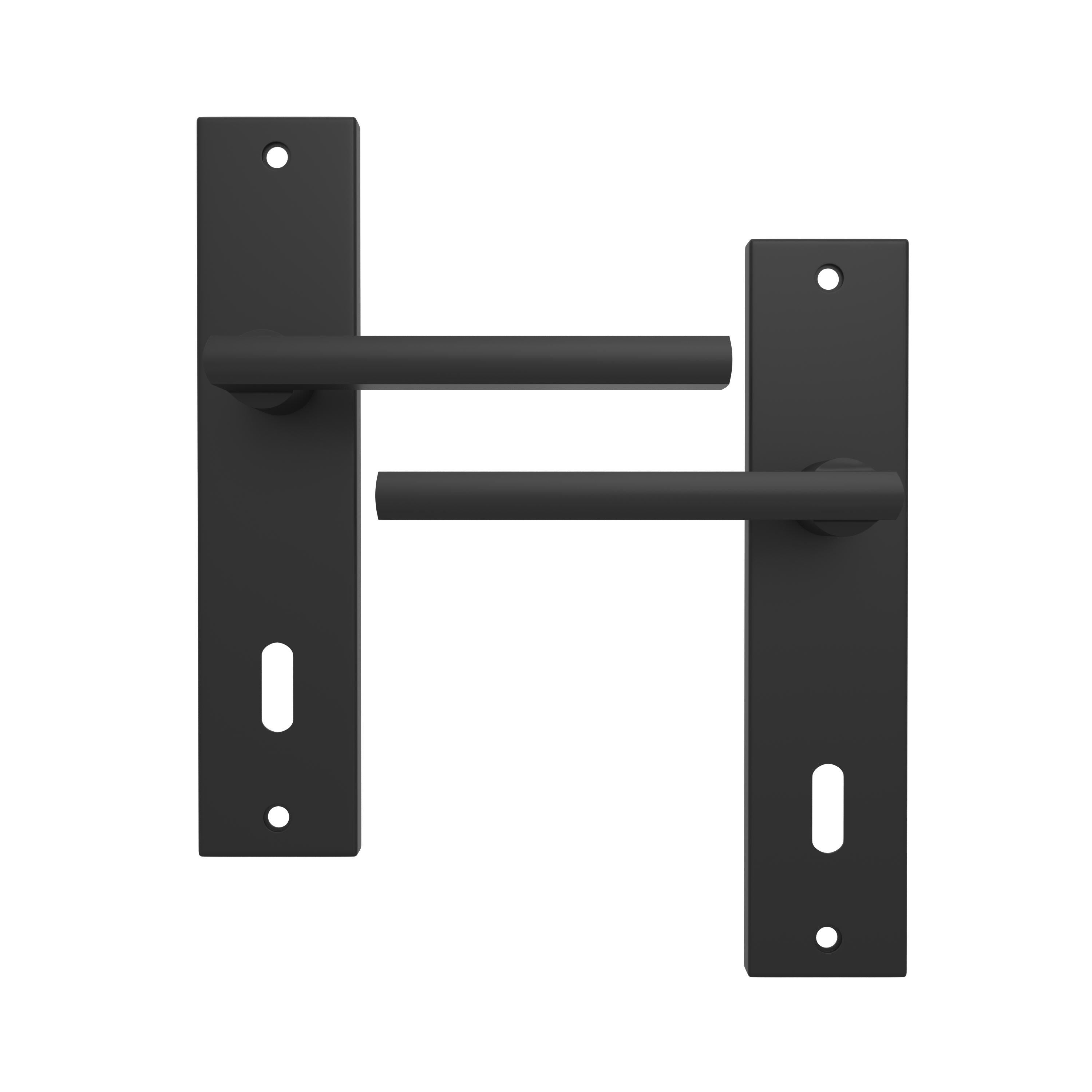 Poignée de porte sur plaque noire entraxe 165 mm Clé en L DAREN x2 - 2