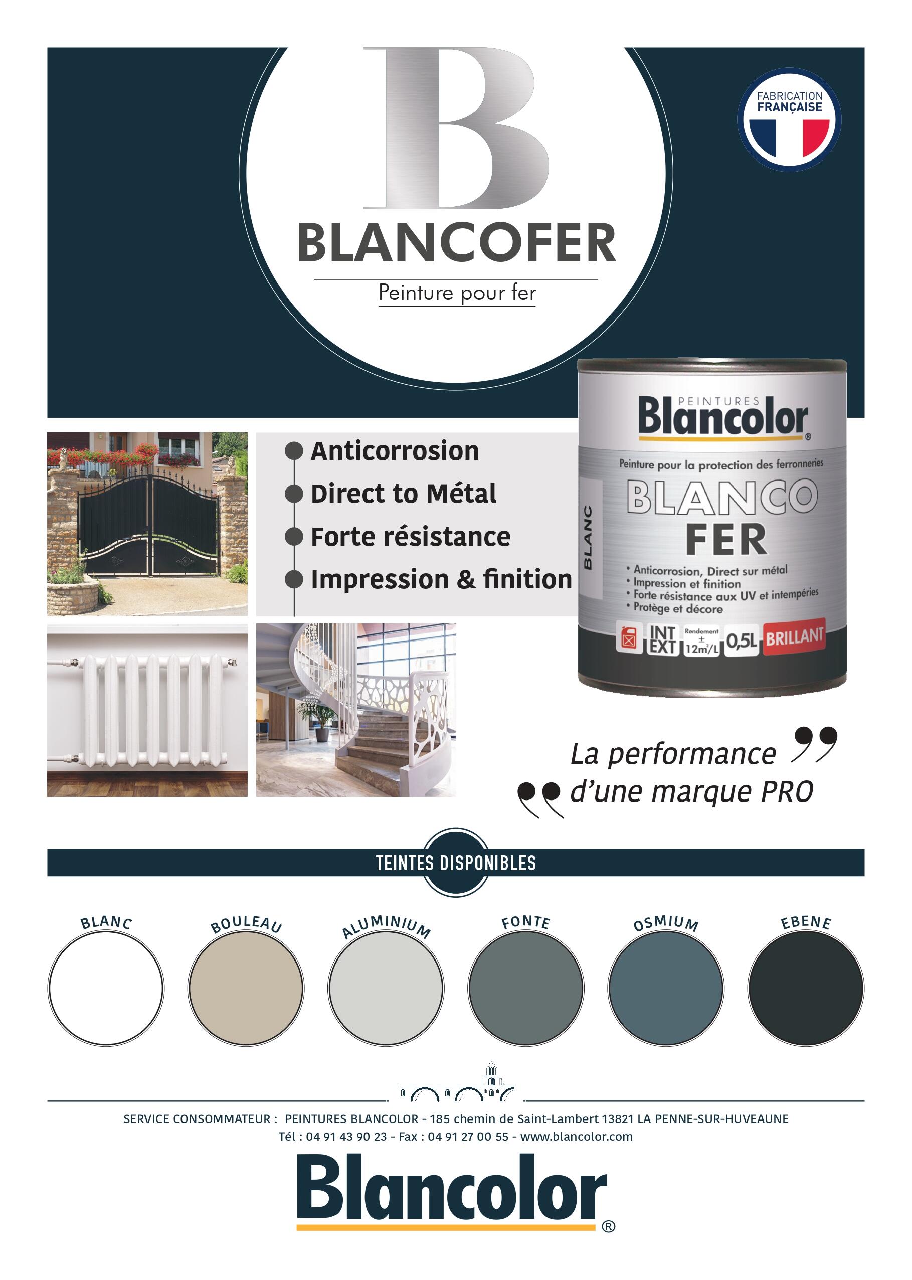 Peinture fer brillante blanc 2,5 L - BLANCOLOR - 2