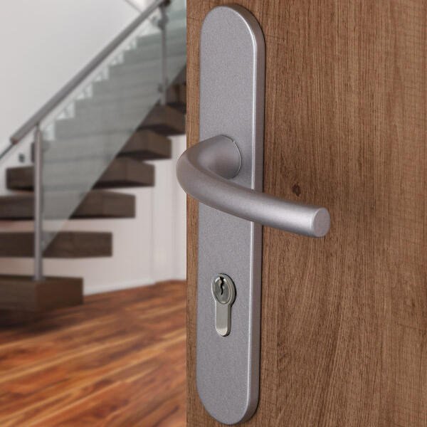 Poignée de porte sur plaque grise entraxe 195 mm Clé en I FIRME x2