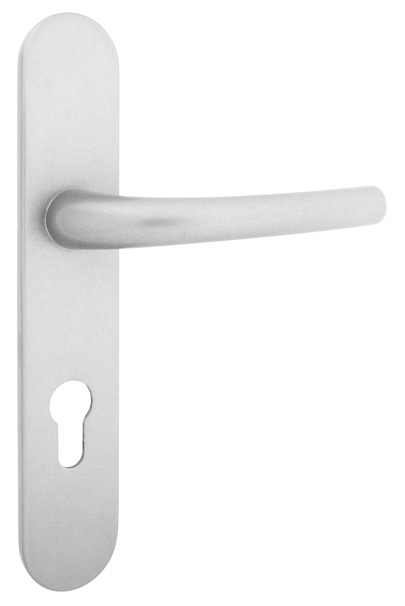 Poignée de porte sur plaque grise entraxe 195 mm Clé en I FIRME x2 - 2