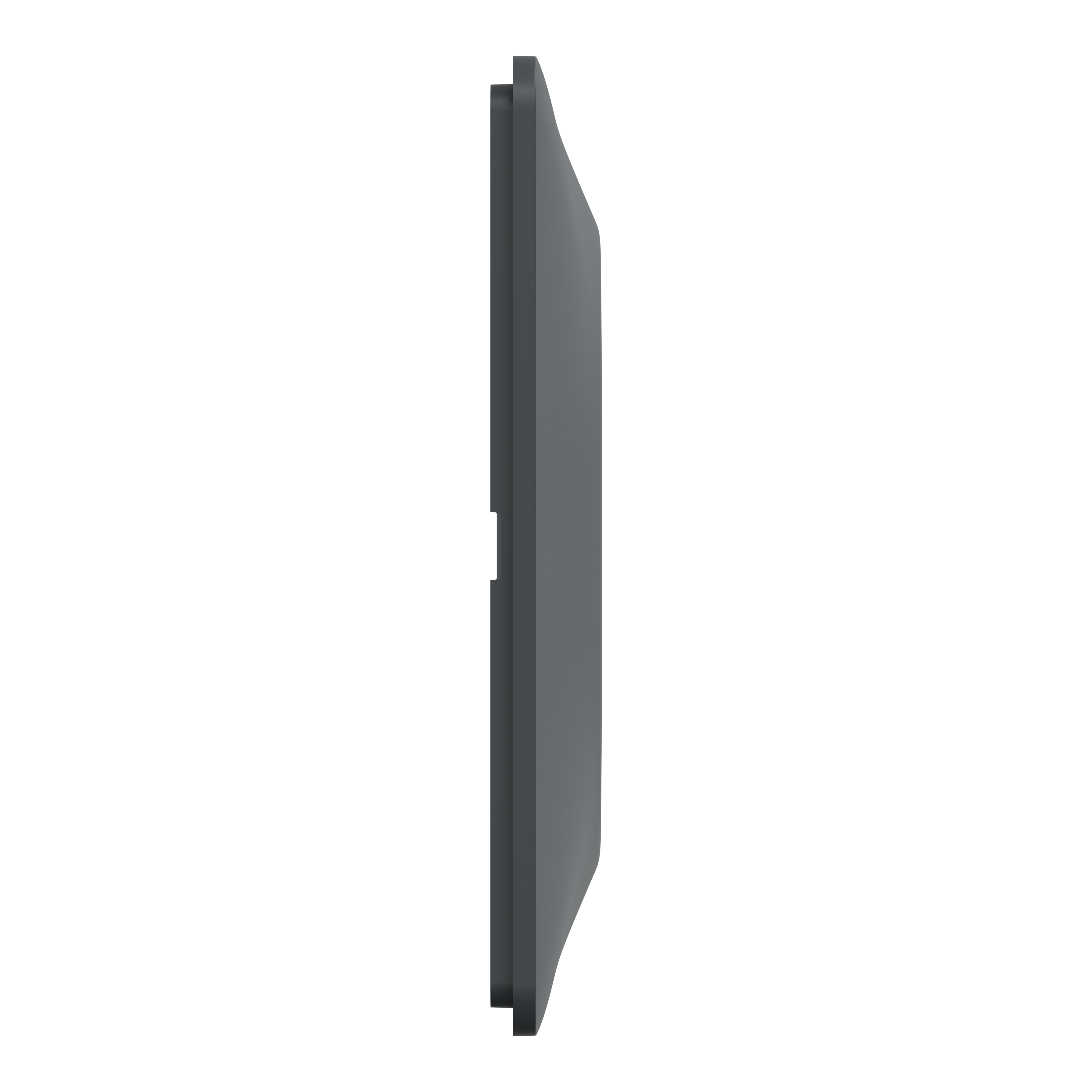 Plaque de finition 2 postes gris anthracite Ovalis - SCHNEIDER ELECTRIC - 6
