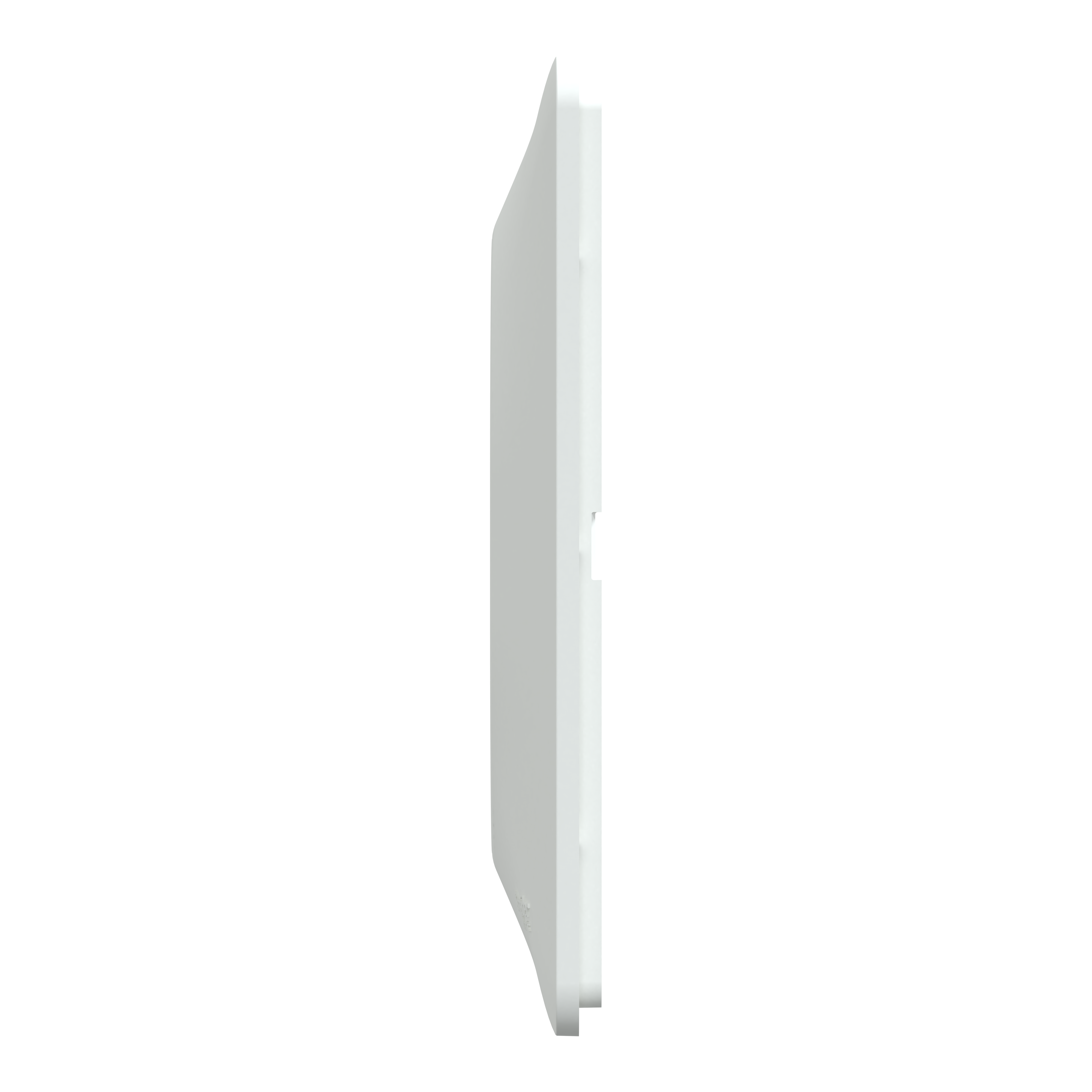 Plaque de finition 2 postes blanche Ovalis - SCHNEIDER ELECTRIC - 6