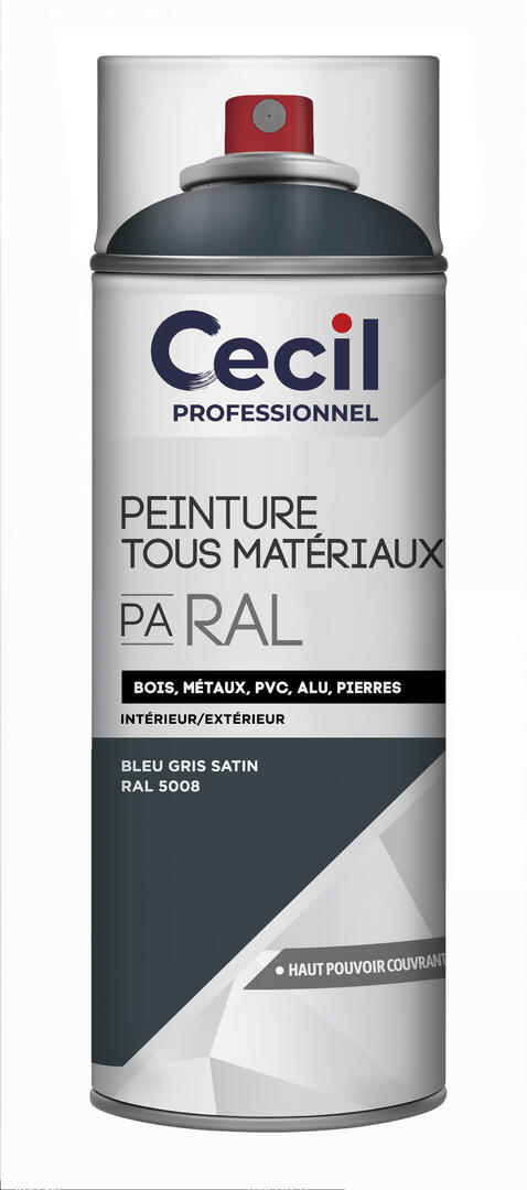 Peinture aérosol tous matériaux int/ext bleu gris satin RAL5008 400 ml - CECIL PRO