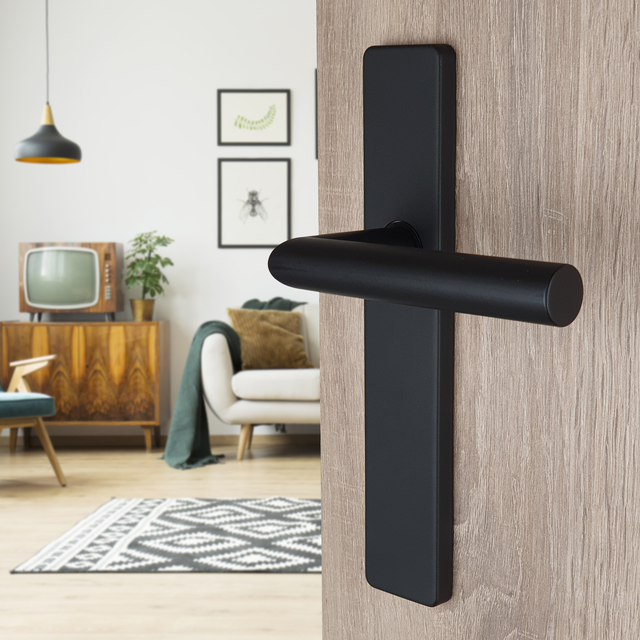 Poignée de porte sur plaque noire mat entraxe ajustable Bec de cane EDISON DUALFIT x2