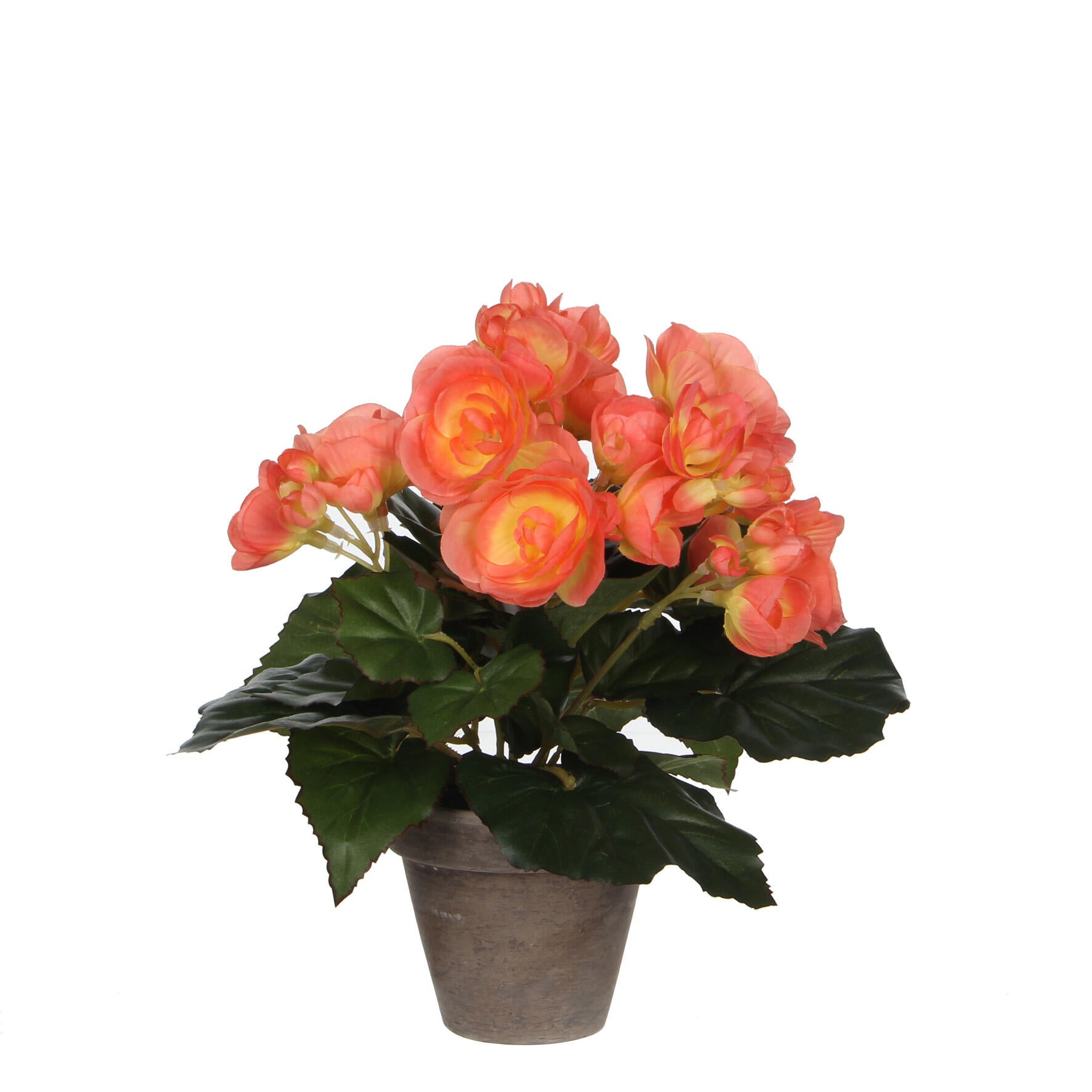 Planta artificial begonia salmón 25cm